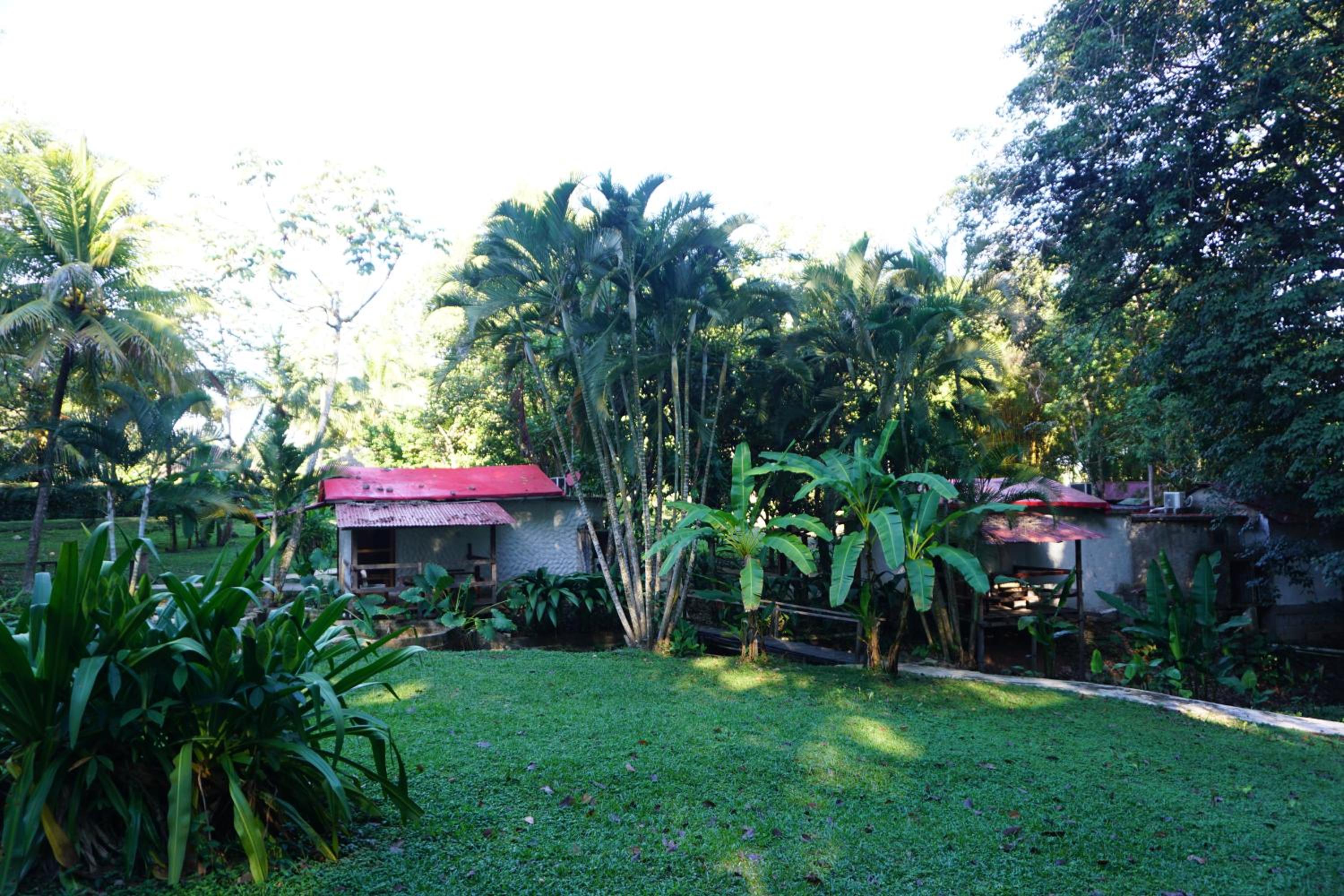 Photo 42