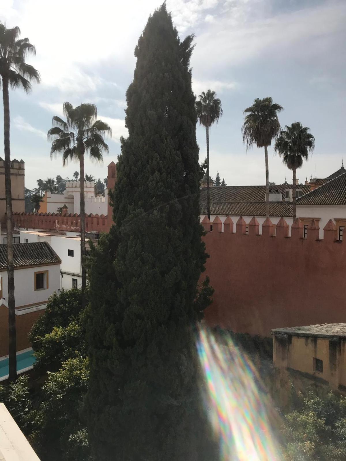 Plaza Elvira Atico- Penthouse Next to Cathedral view 2