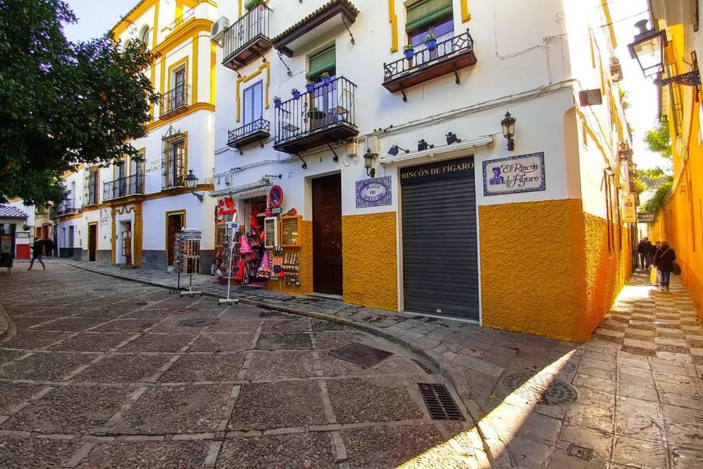 Plaza Elvira Atico- Penthouse Next to Cathedral view 5