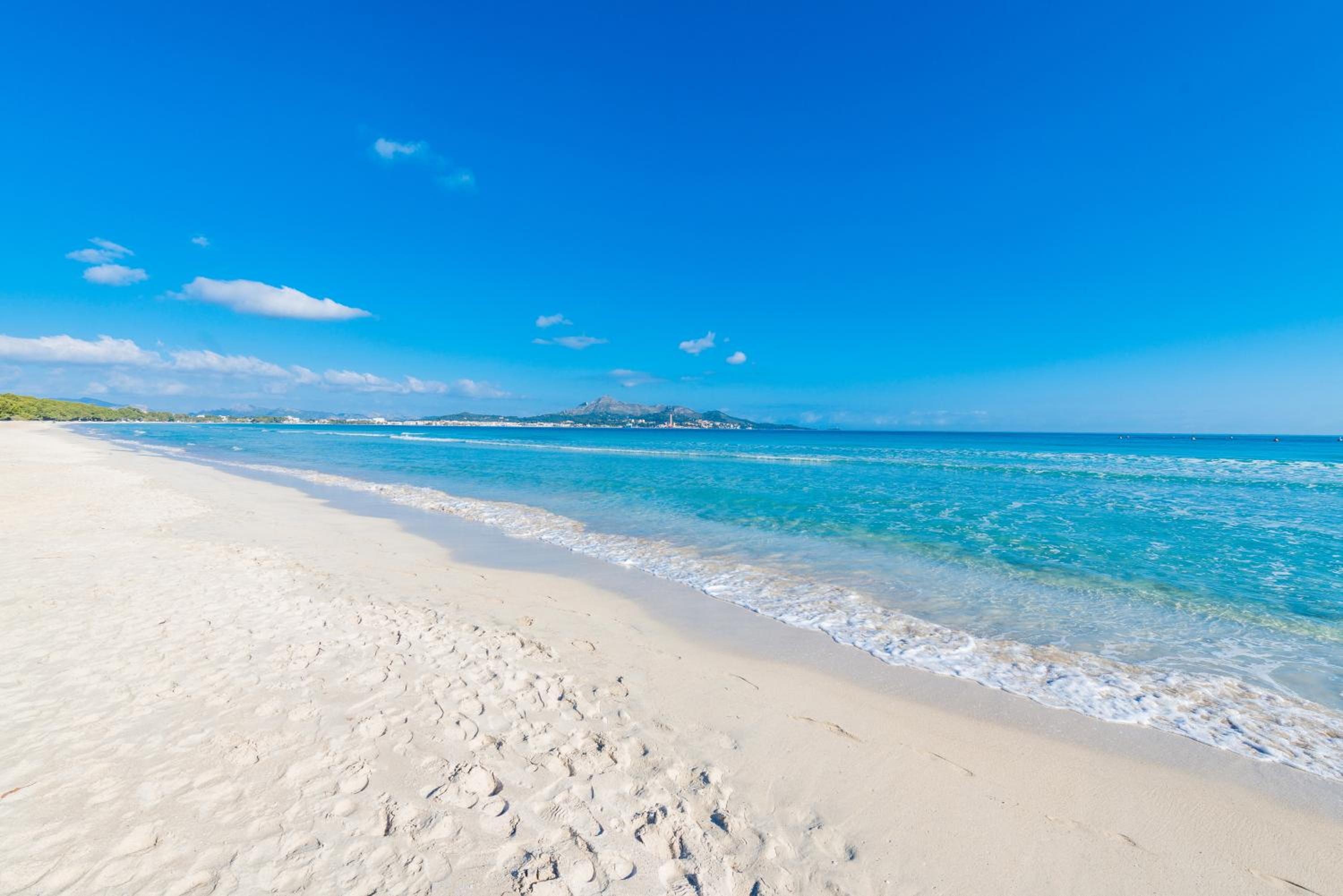 Sun of the Beach, vacaciones en la playa de Alcudia view 4