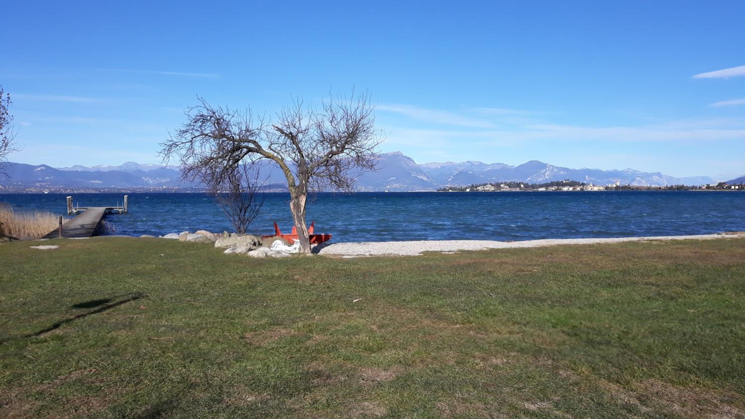 Photo 40