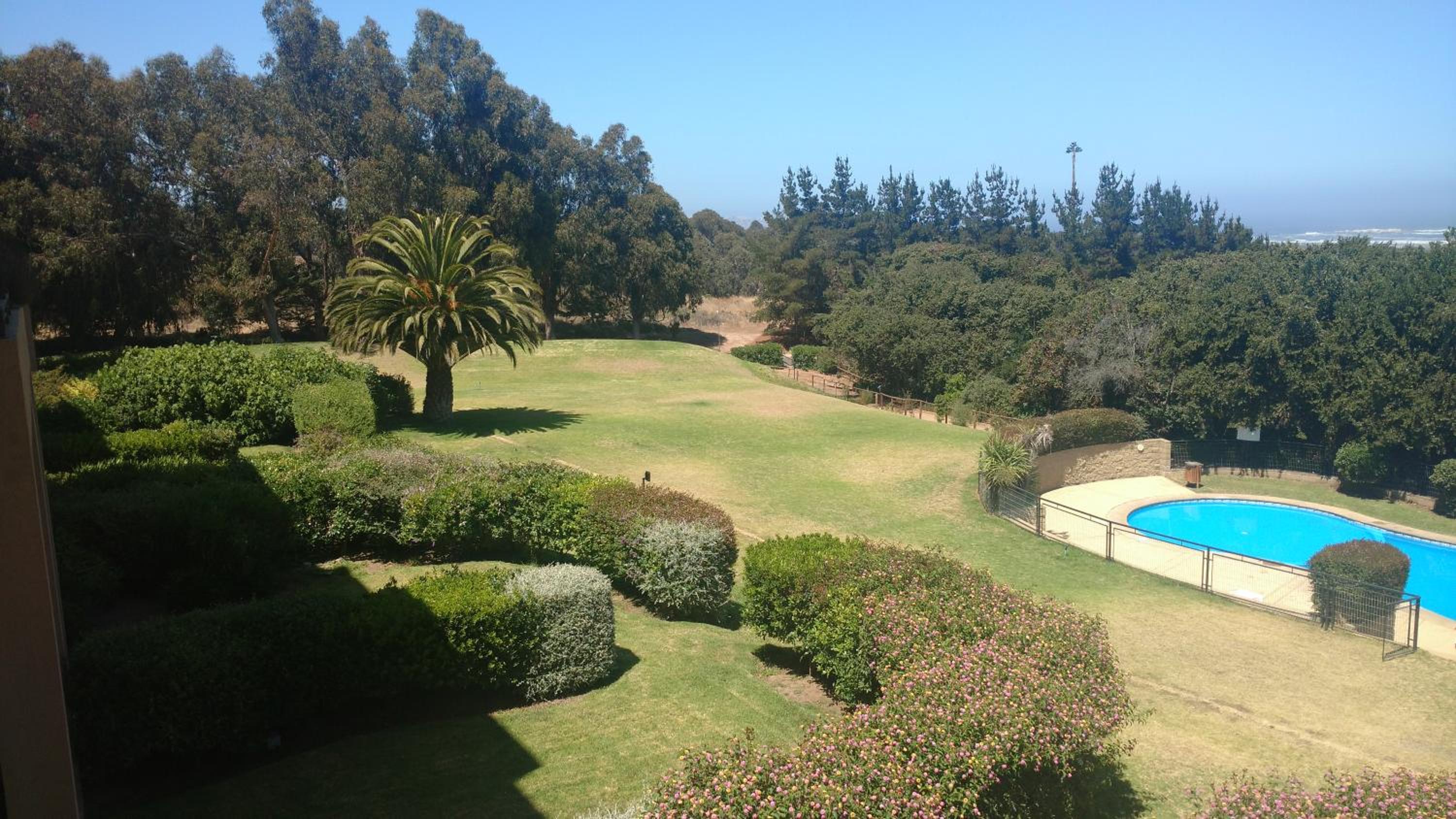 Photo 43