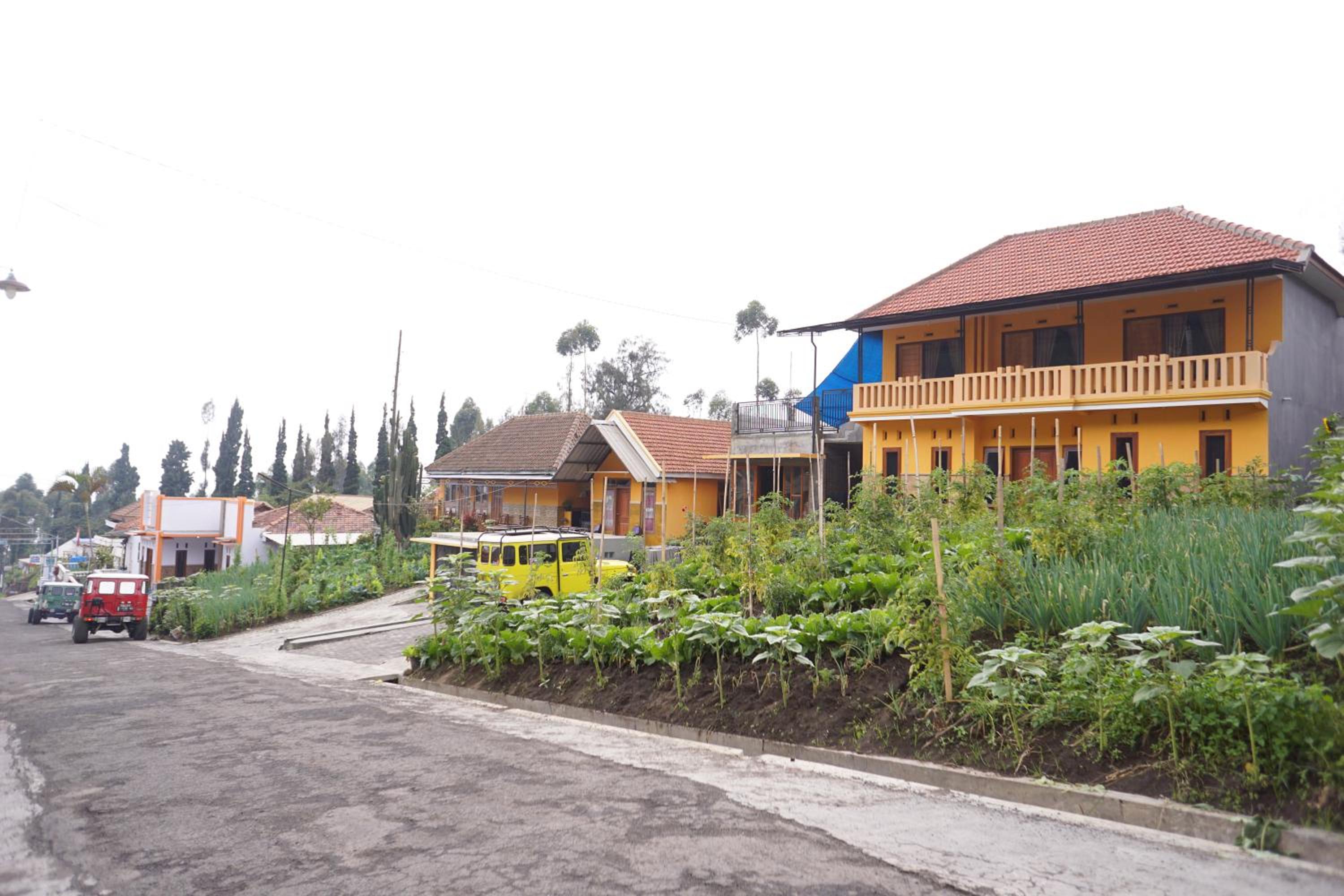 Photo 20
