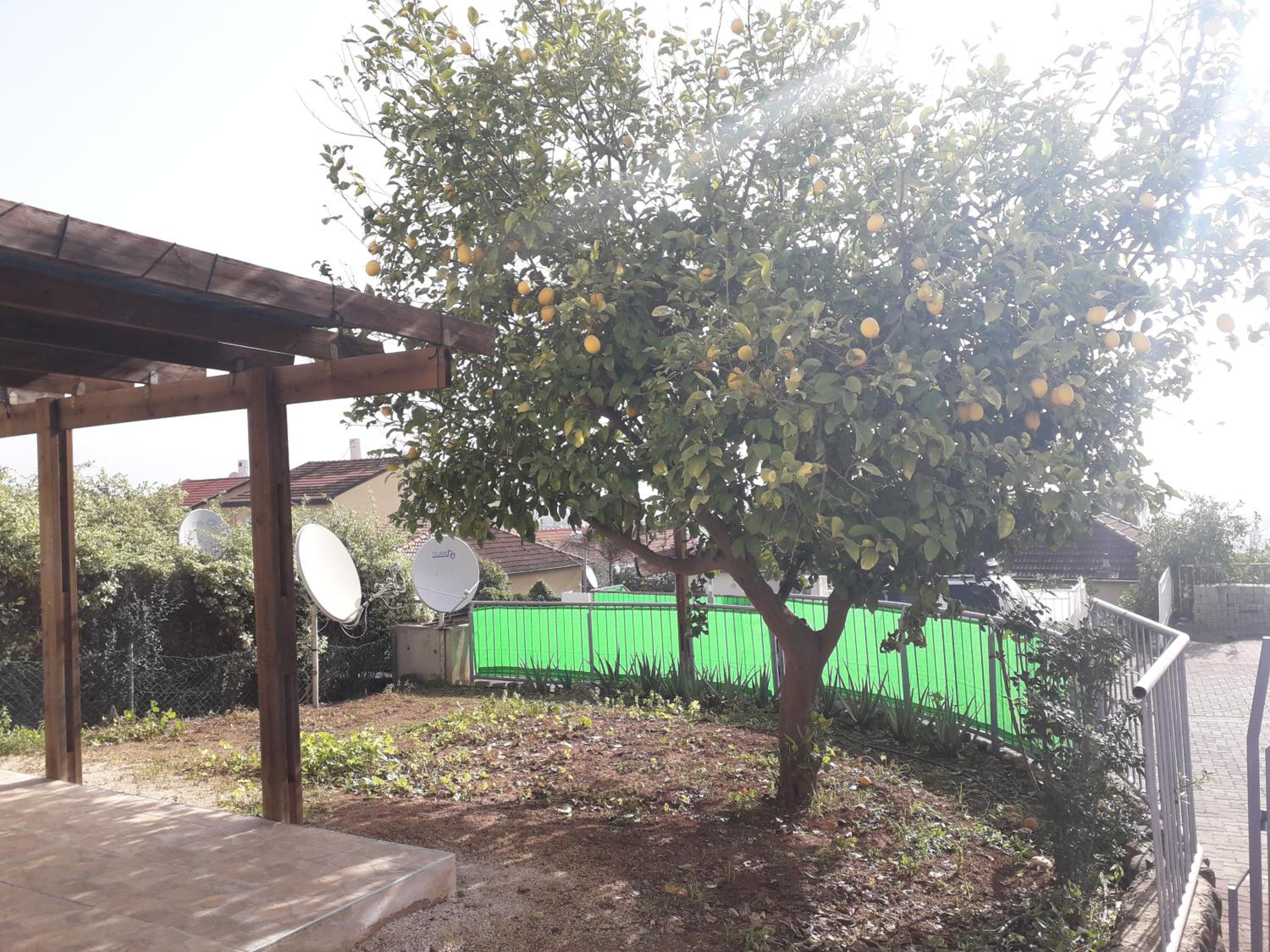 Photo 6