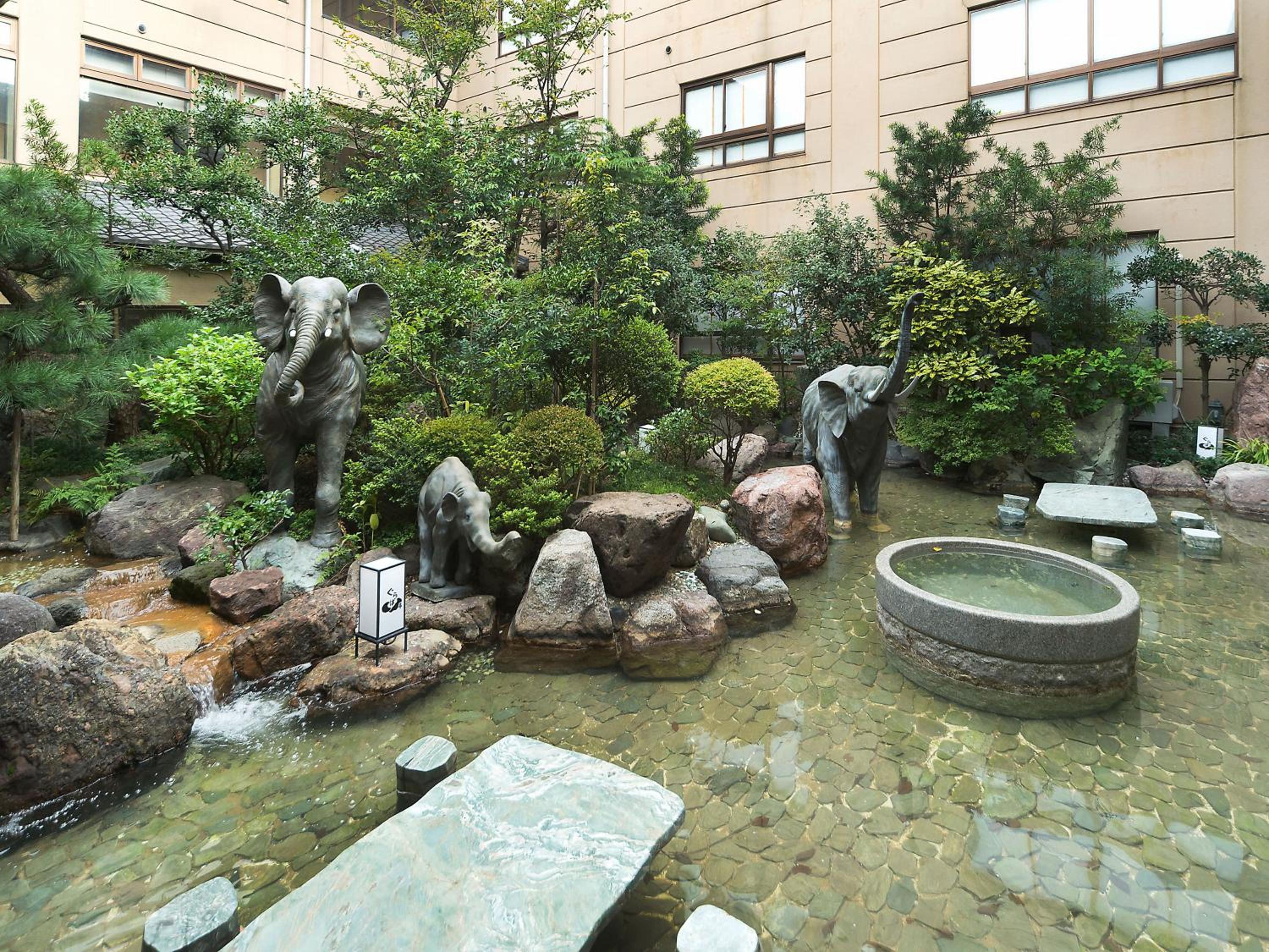 Photo 26