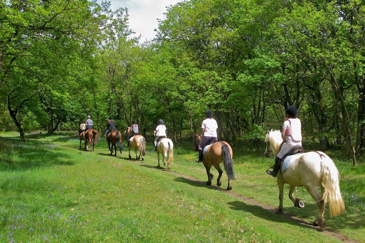 Agriturismo Tenuta 