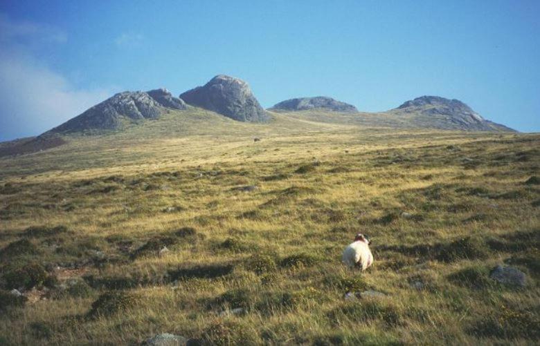 Photo 26