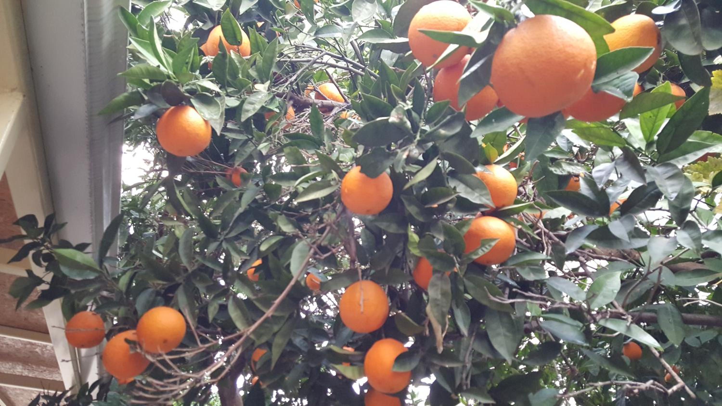 Kartal Hotel - Image 32