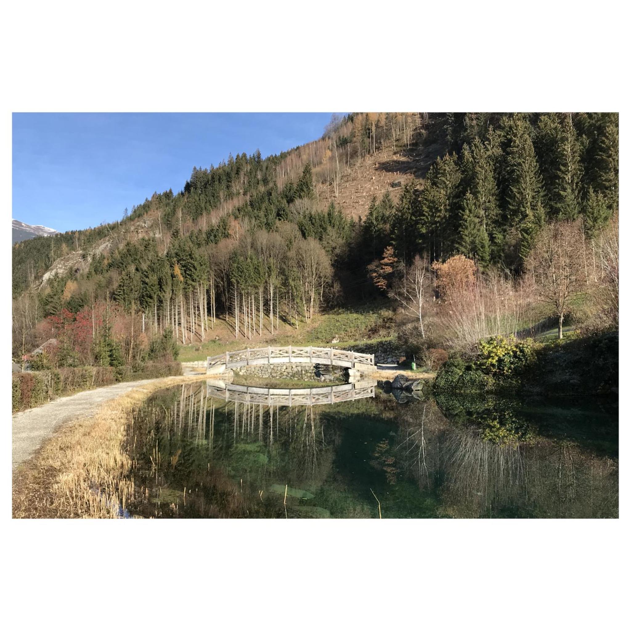 Mountainview Lodge - Chalet im Zillertal direkt am 5 Sterne Campingplatz Aufenfeld mit Hallenbad und Sauna