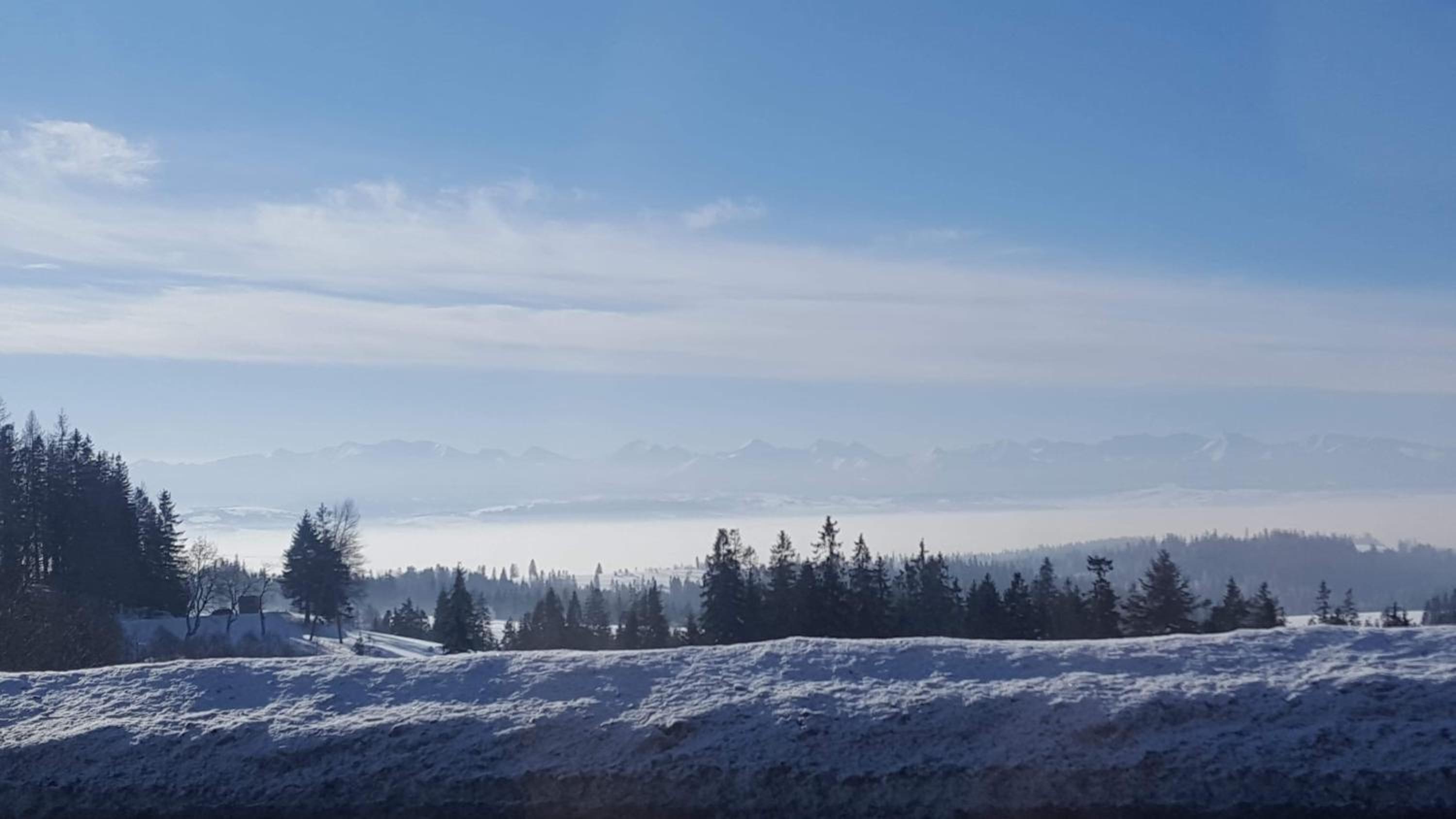 Staś -przy szkole nr 3 w Skawie view 3
