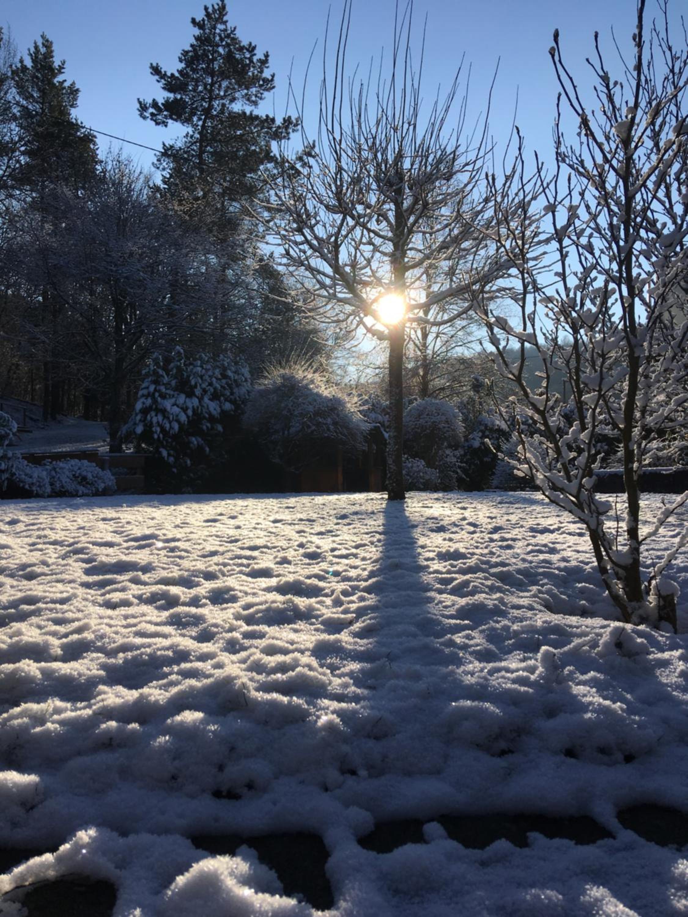 Pension zum Rothaarsteig