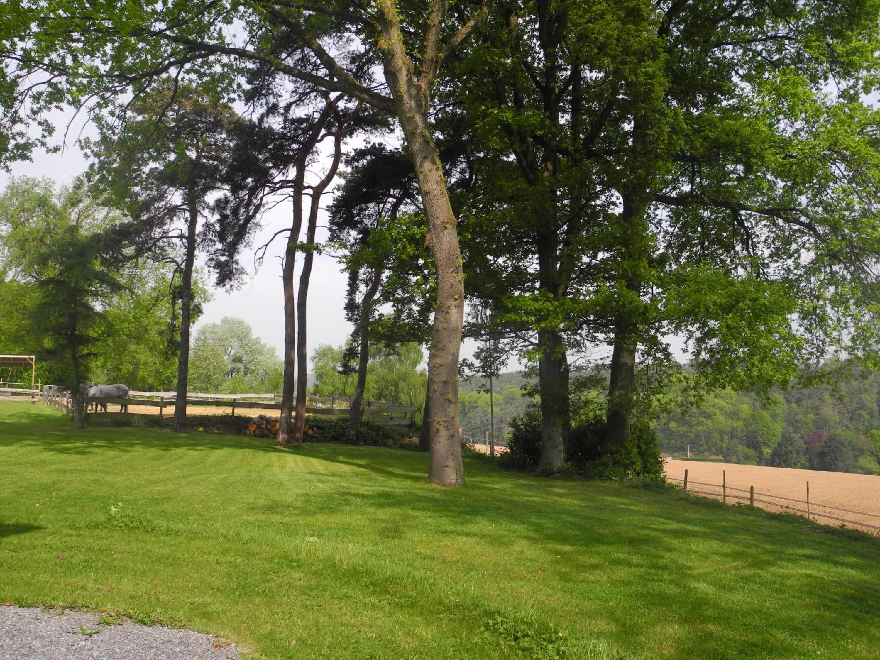 Le Goupil