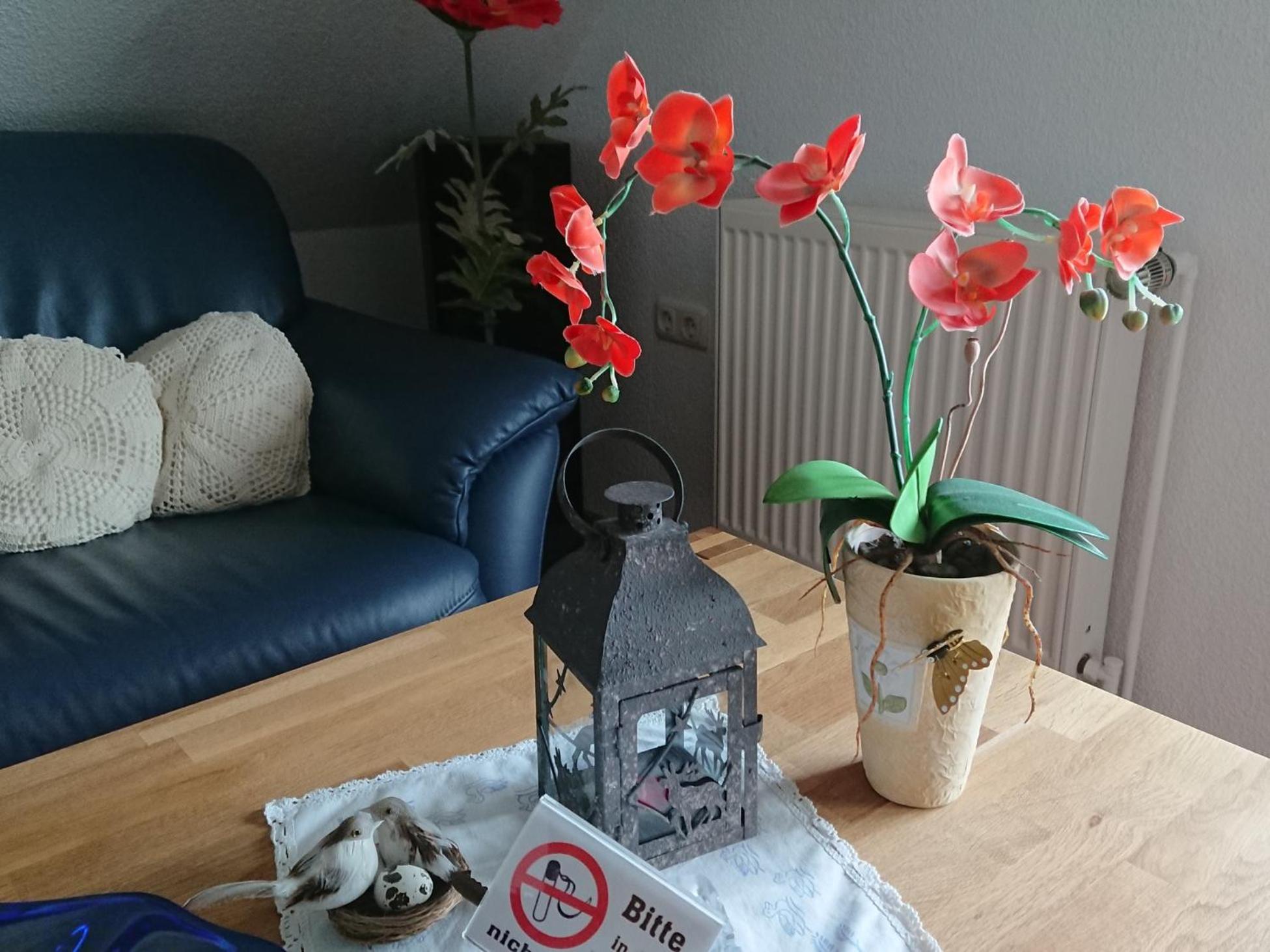 Ferienhaus Wieke