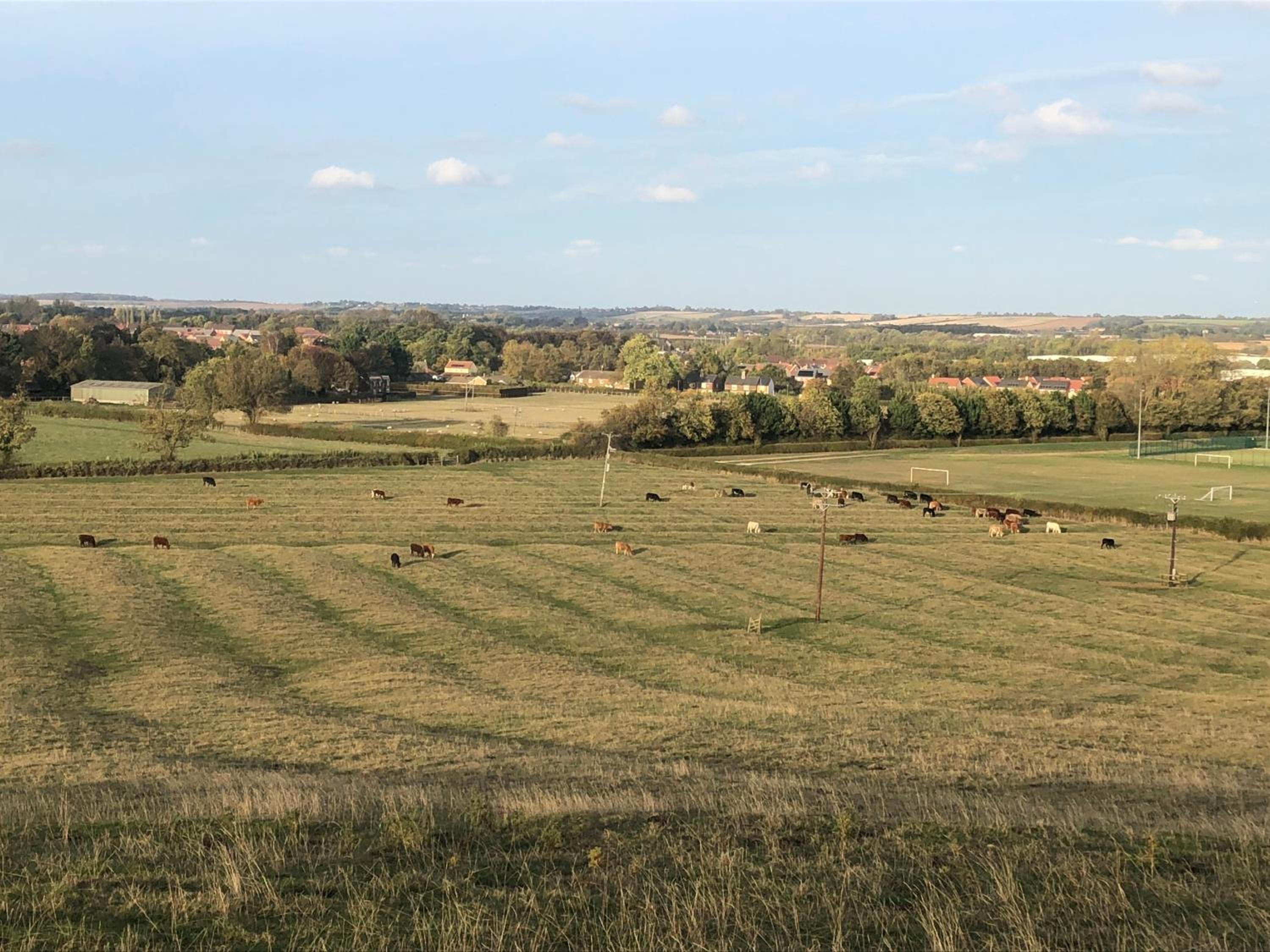 Bolton's Cottage view 3