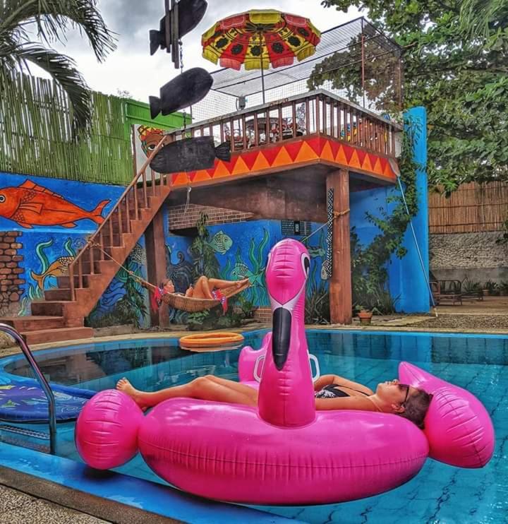 Lala Panzi Bed and Breakfast