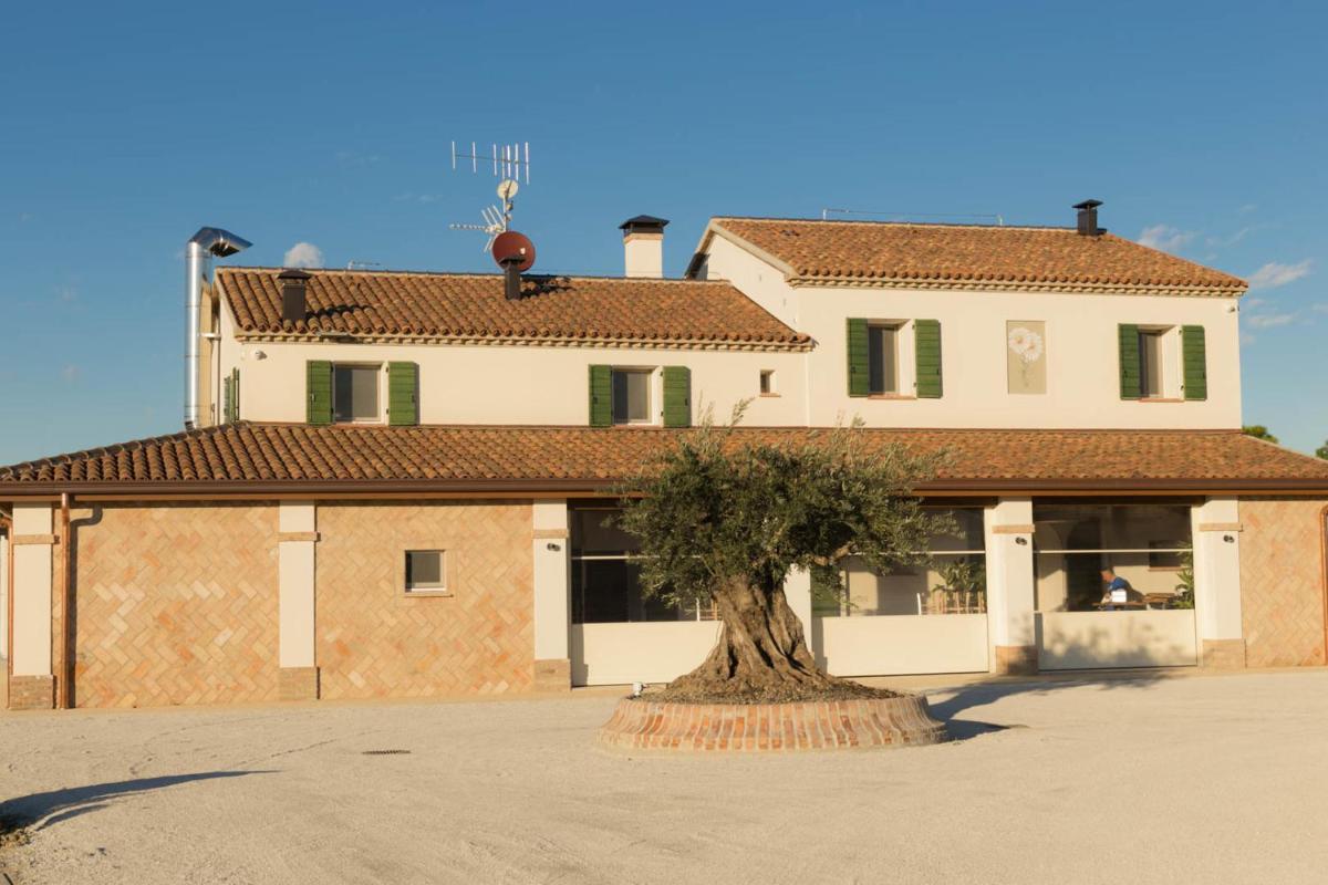 Agriturismo Le margherite view 2
