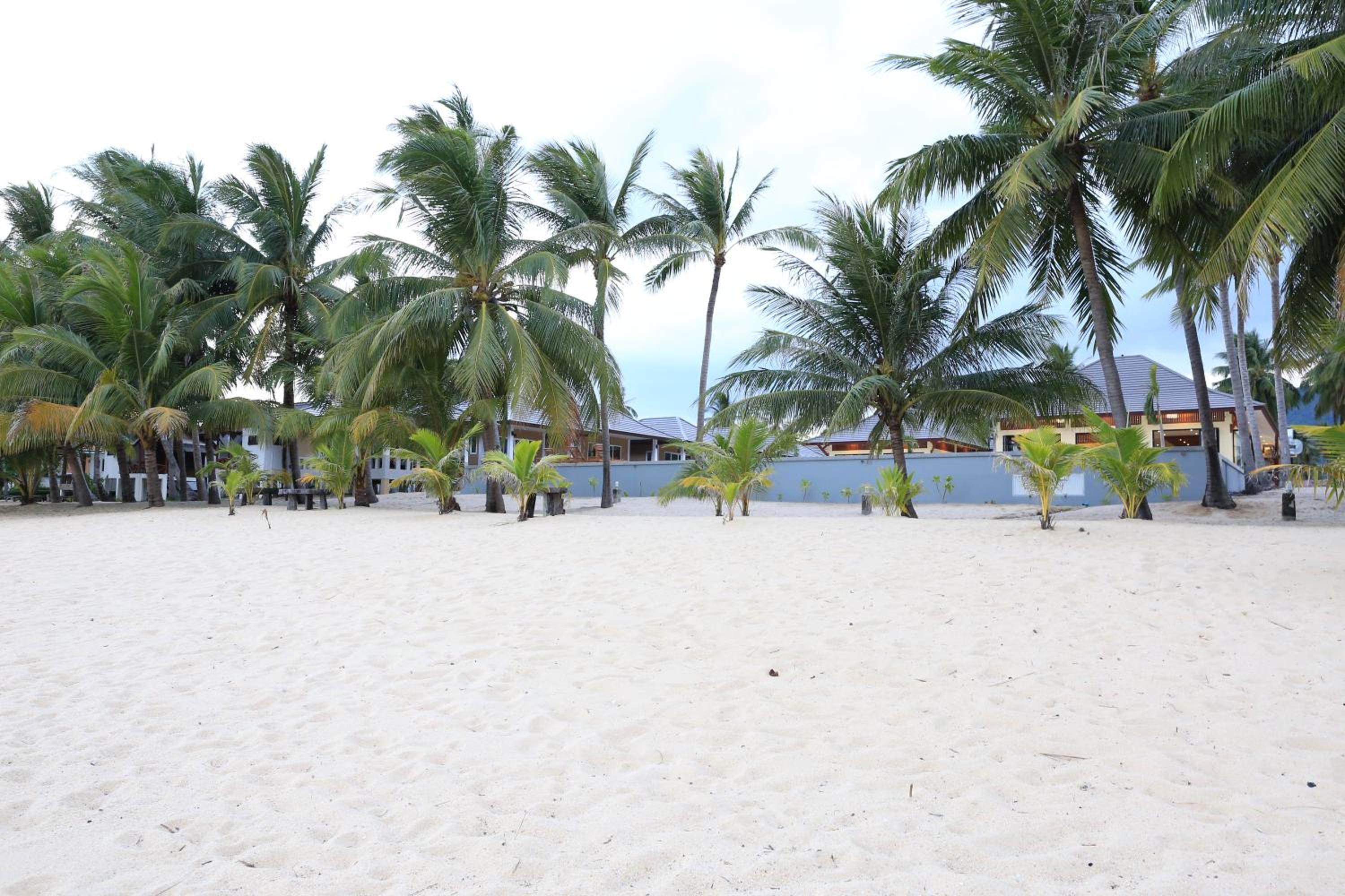 Shangrilah Bungalow