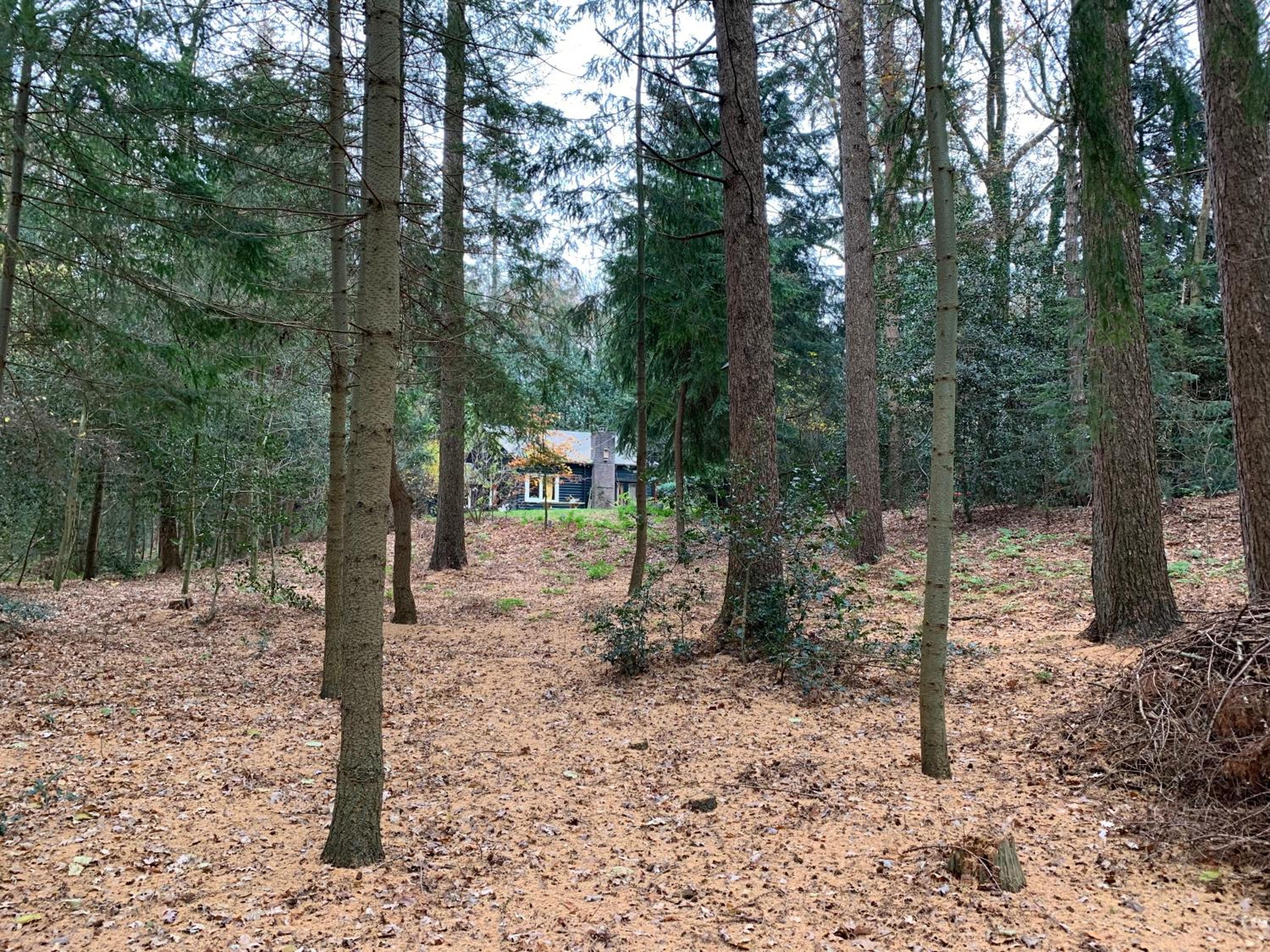 Photo 11