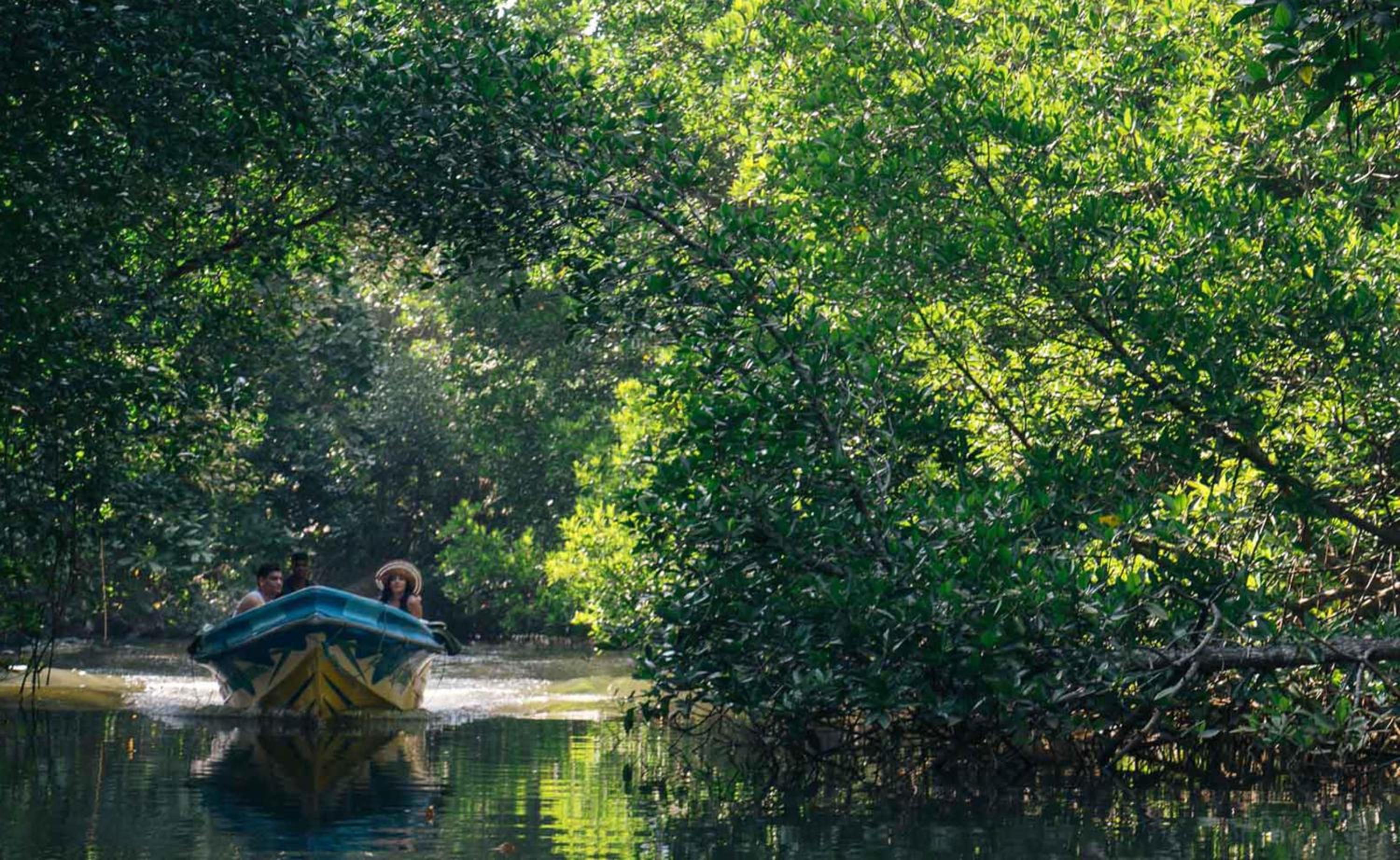 Photo 48