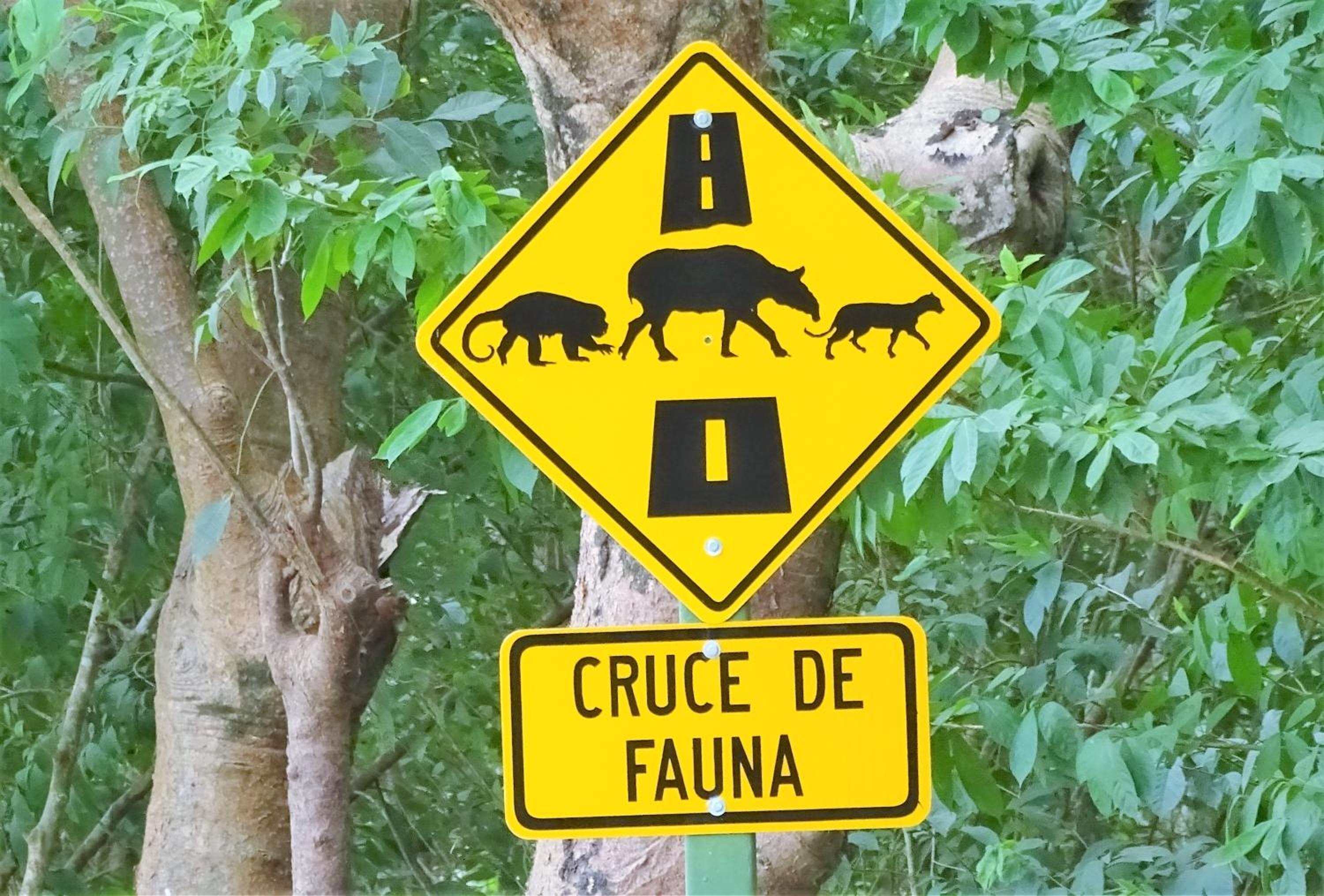 La Colina Pura Vista