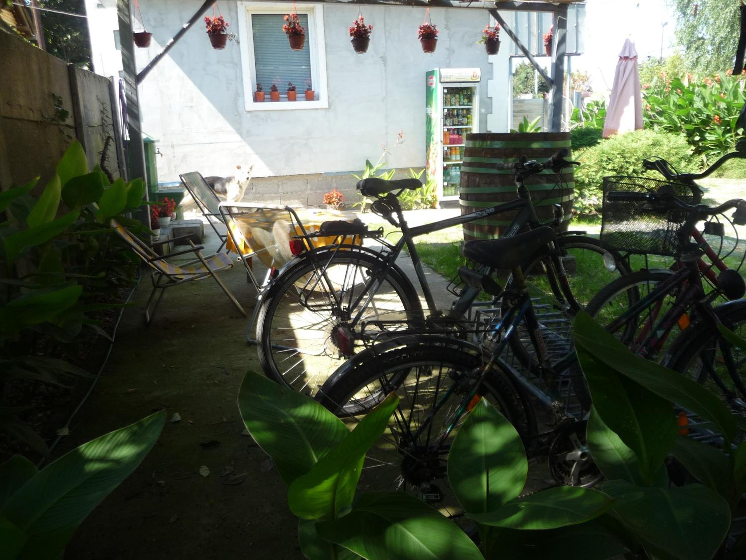 Photo 21