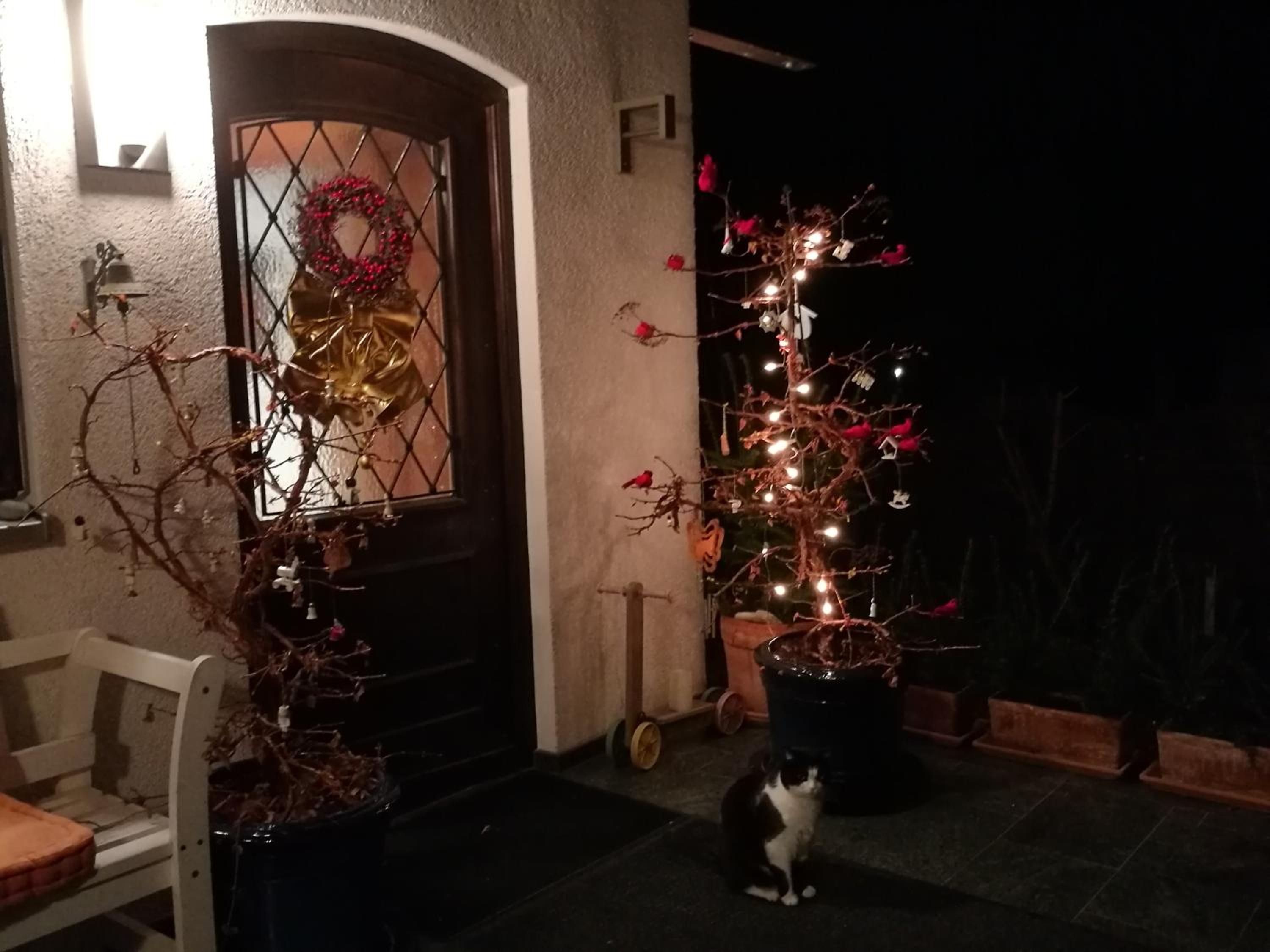 Photo 52