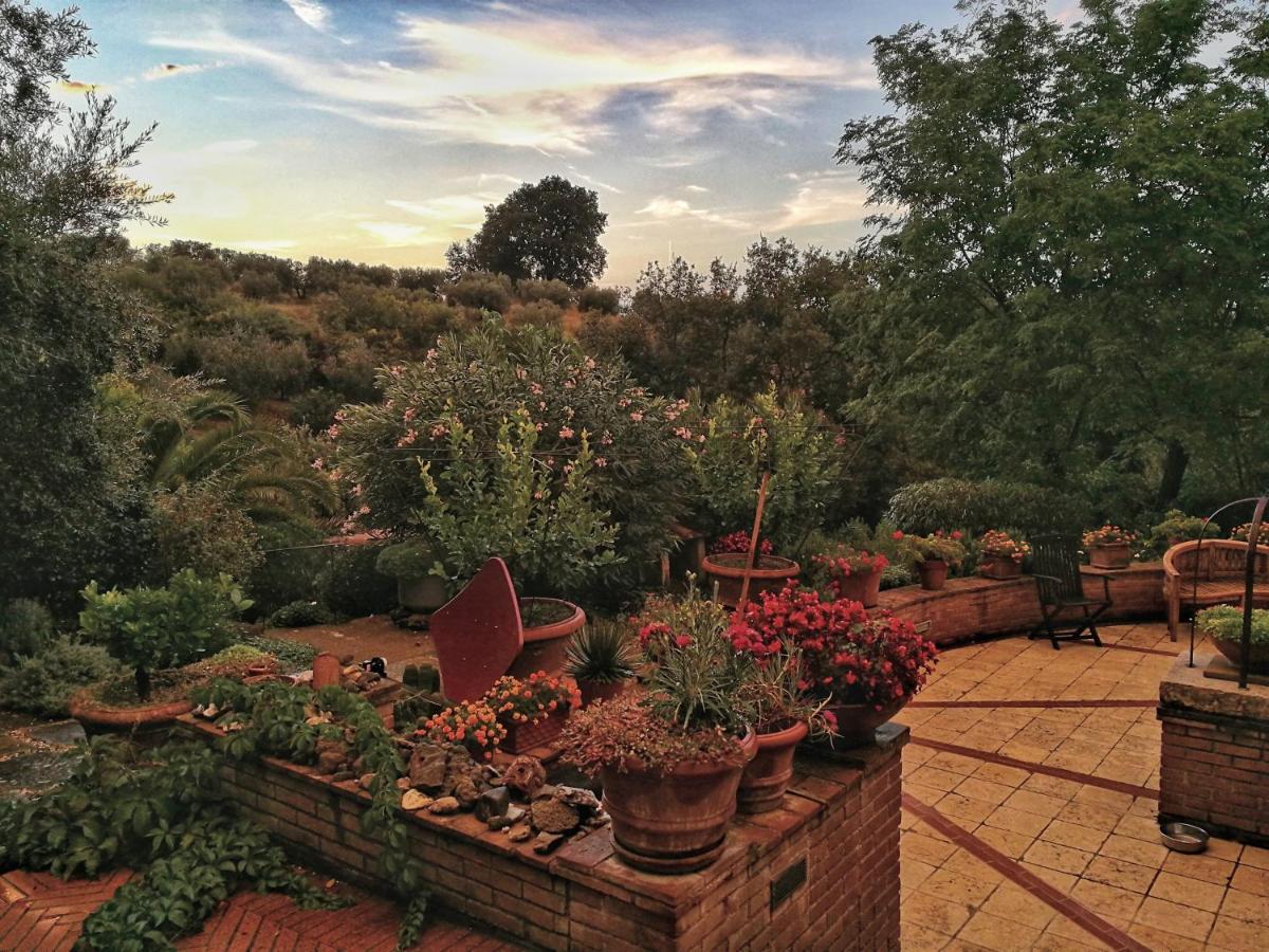 Agriturismo Podere Santa Rita view 5