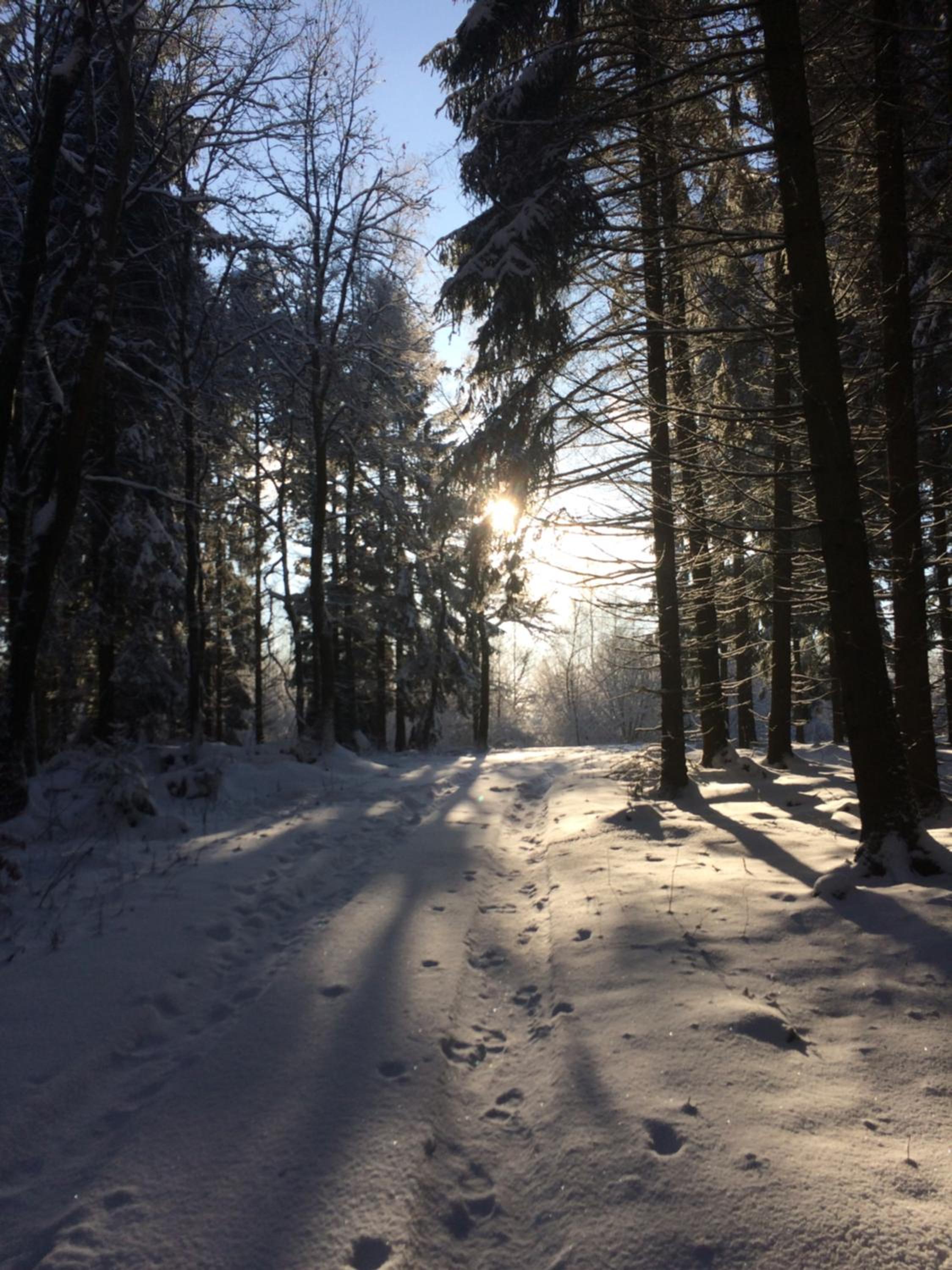 Pension zum Rothaarsteig