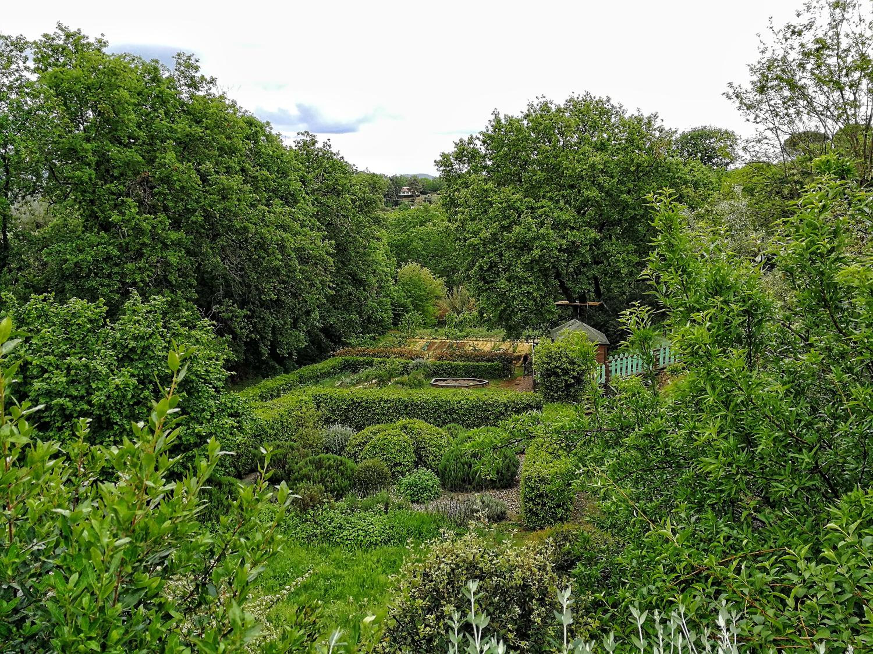 Photo 22