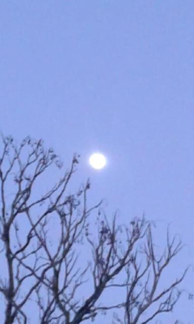 Pousada chácara Lumiar