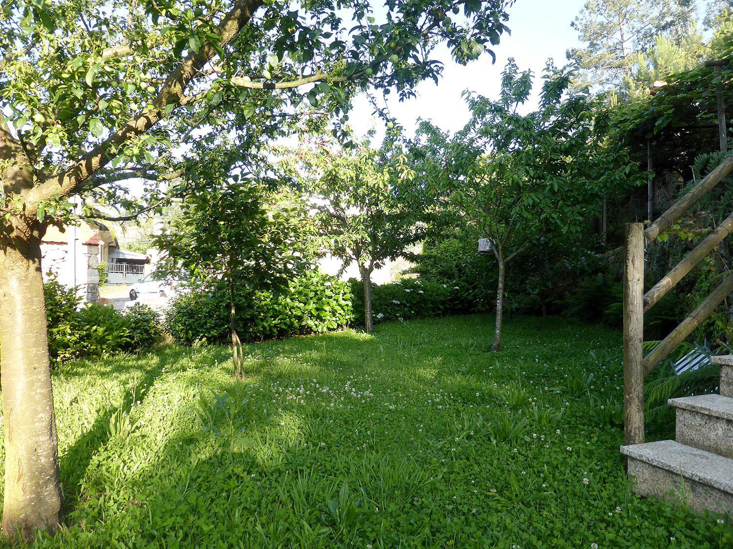 Photo 32