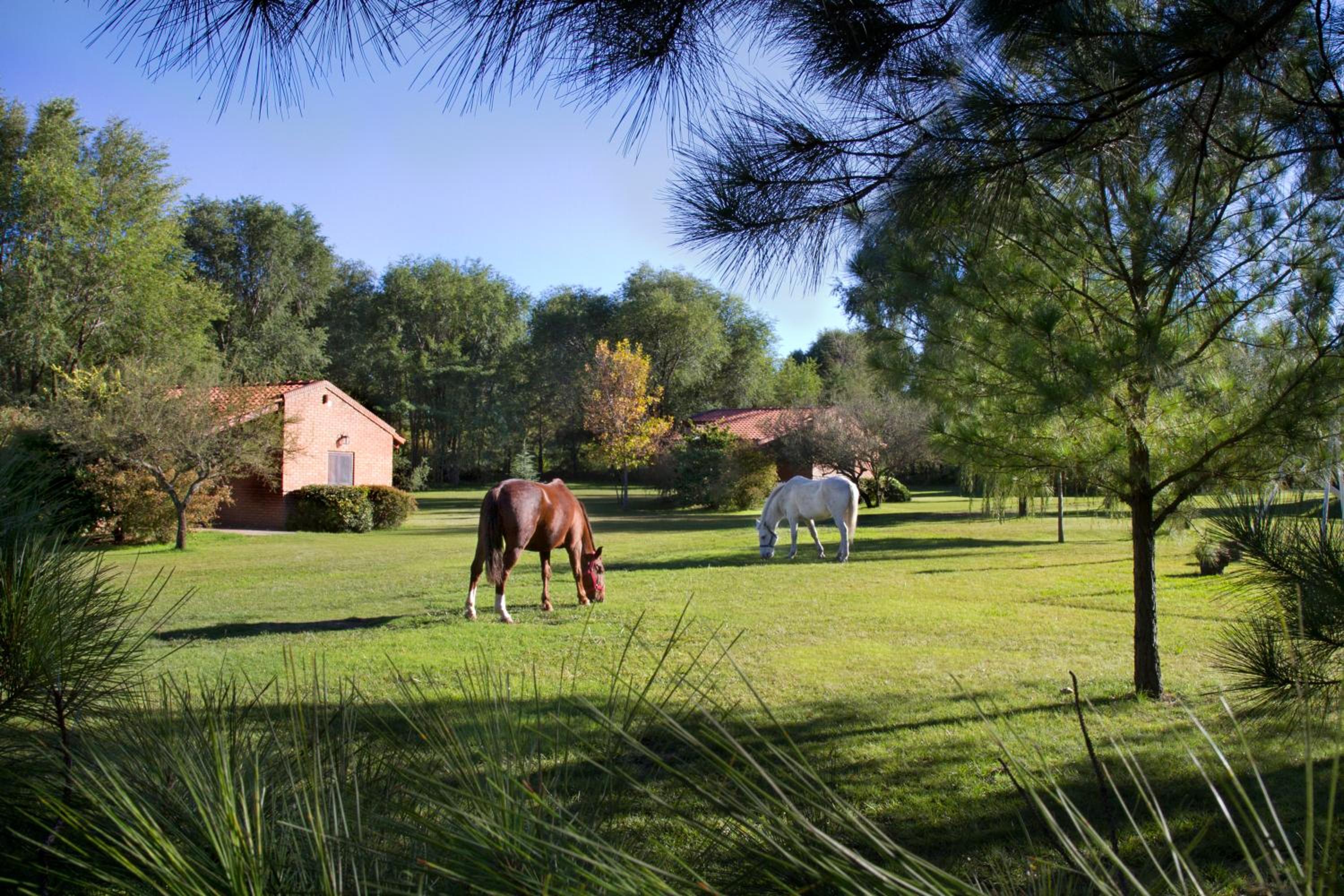 Cabañas Landhaus