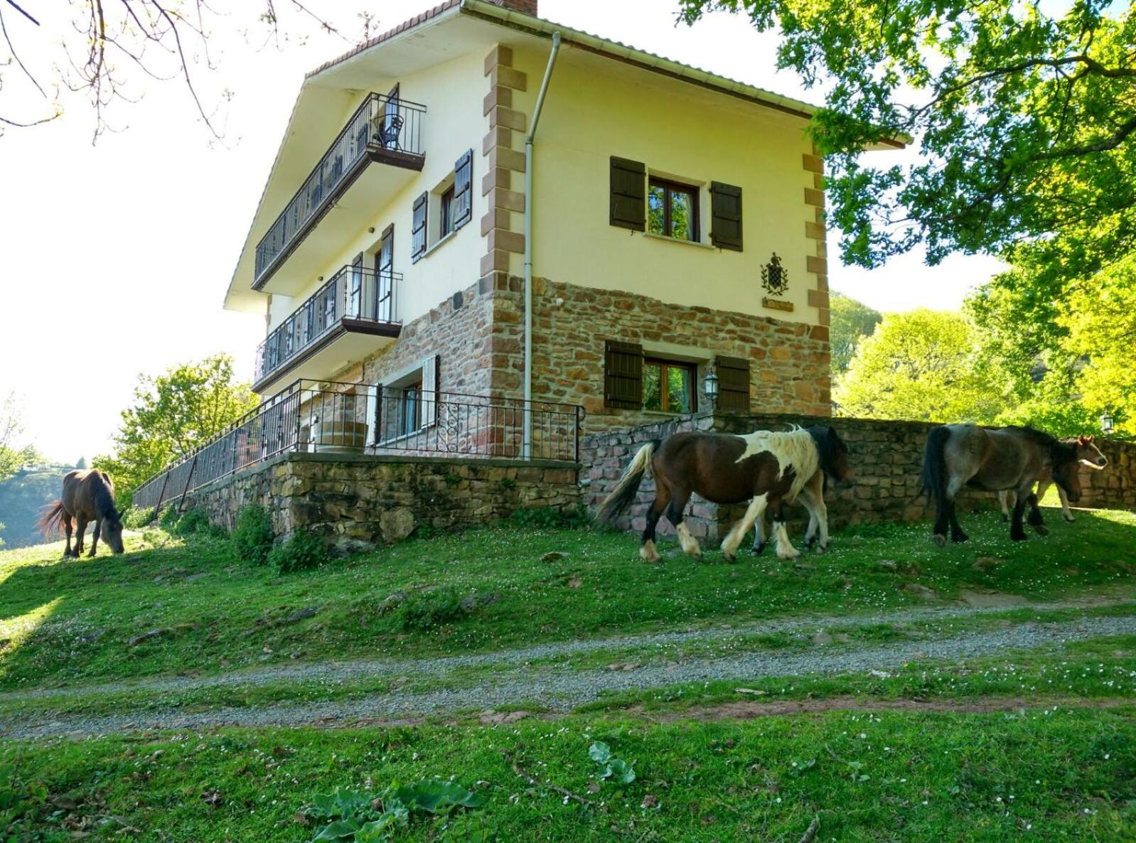 Photo 8