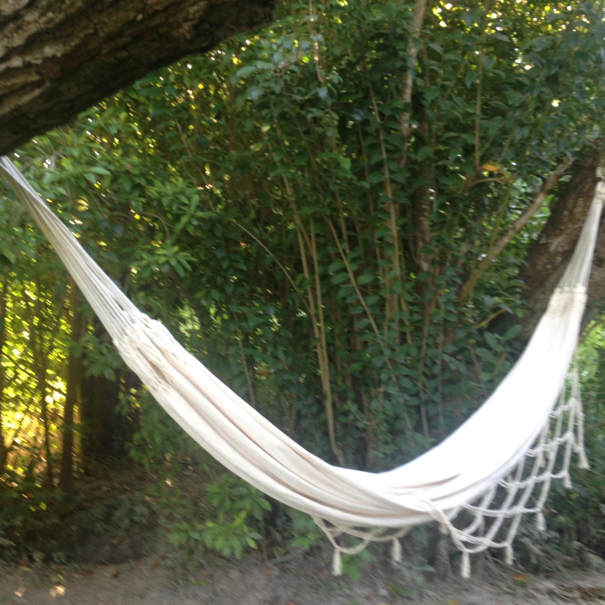 Cabaña en el Delta Arroyo Pajarito a 20 minutos de navegación