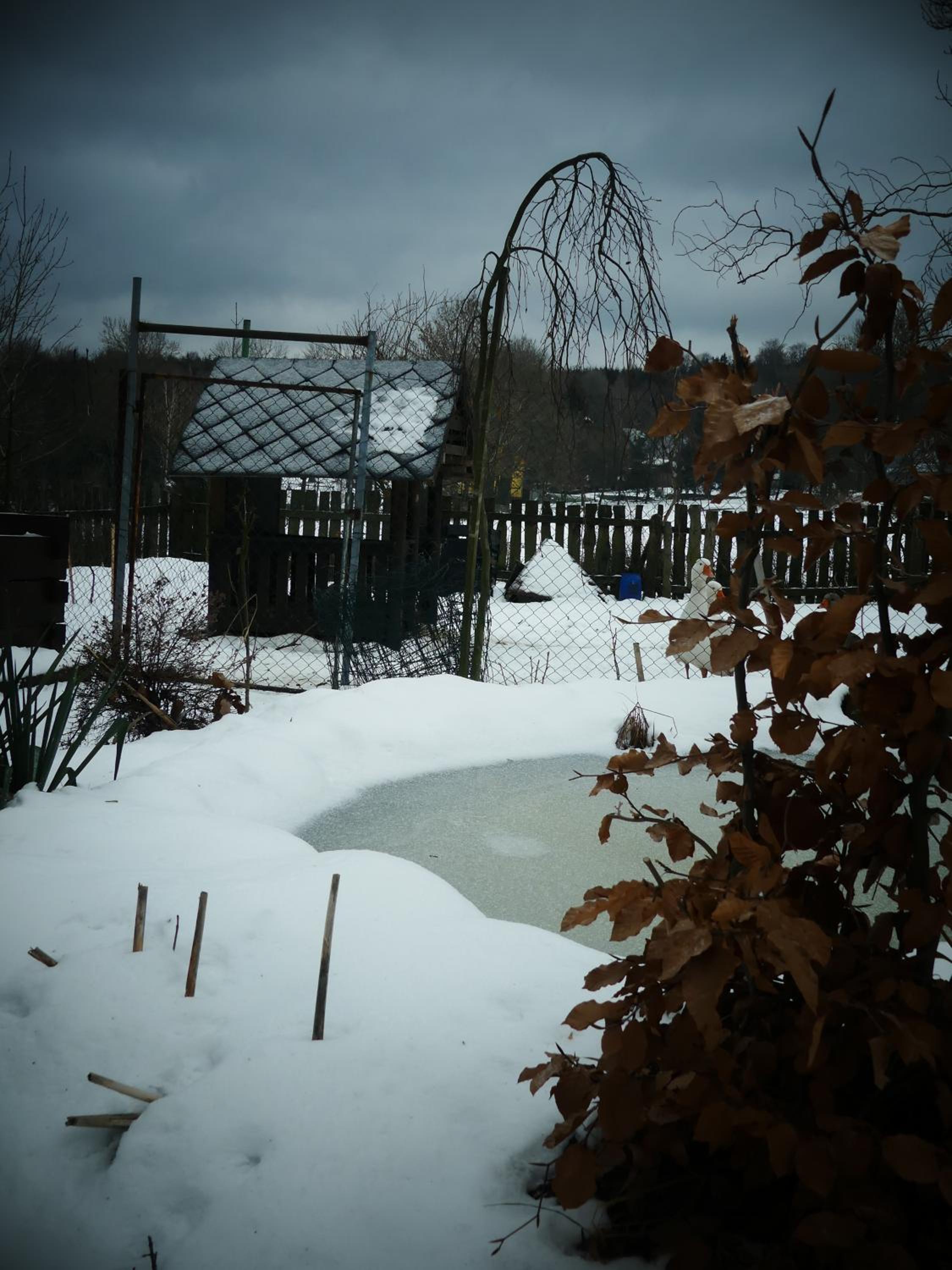 Venkovské apartmány Tiché pastviny view 3