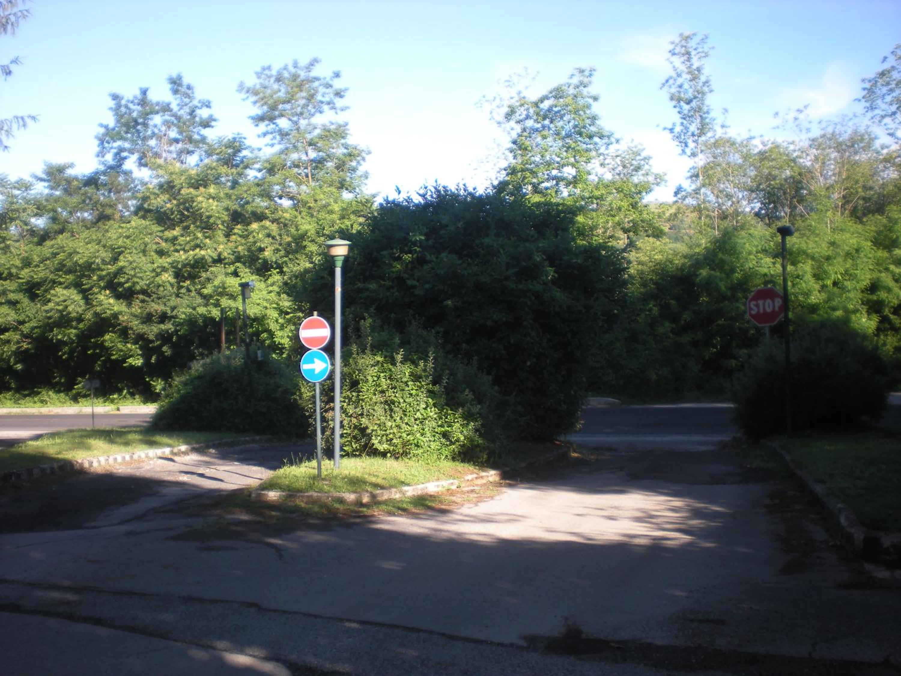 Photo 33