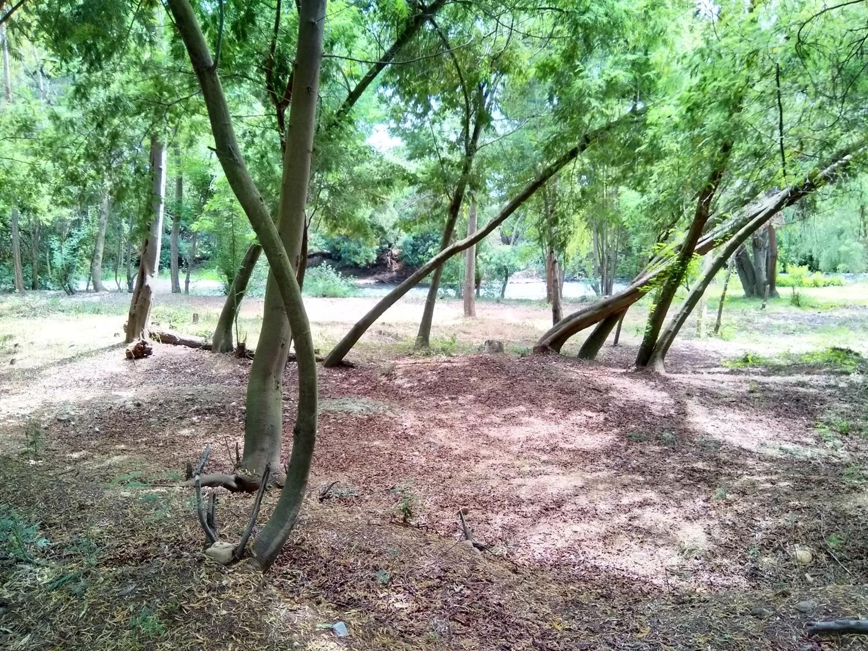 Photo 47