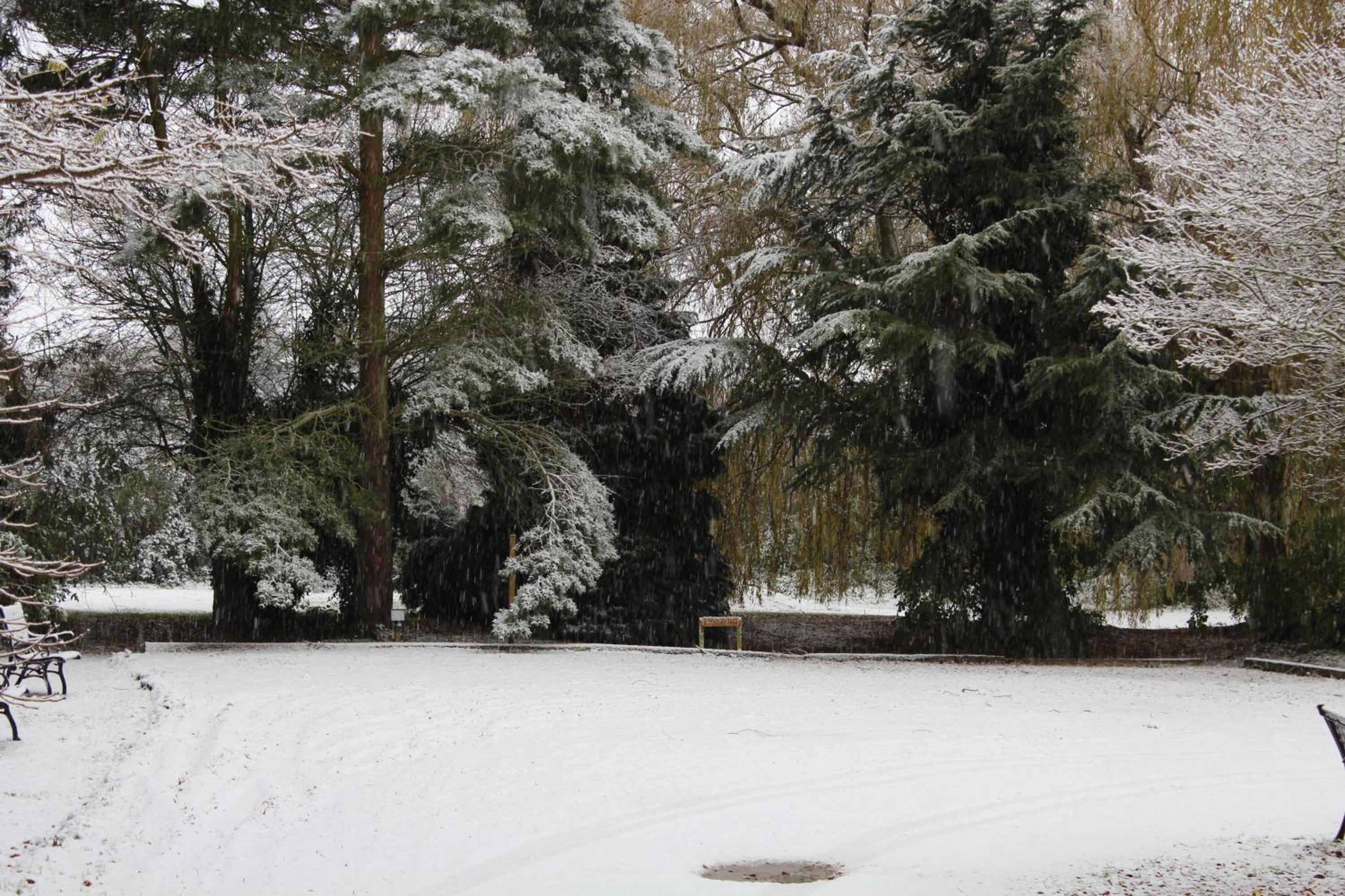 Molland Manor House Bed & Breakfast