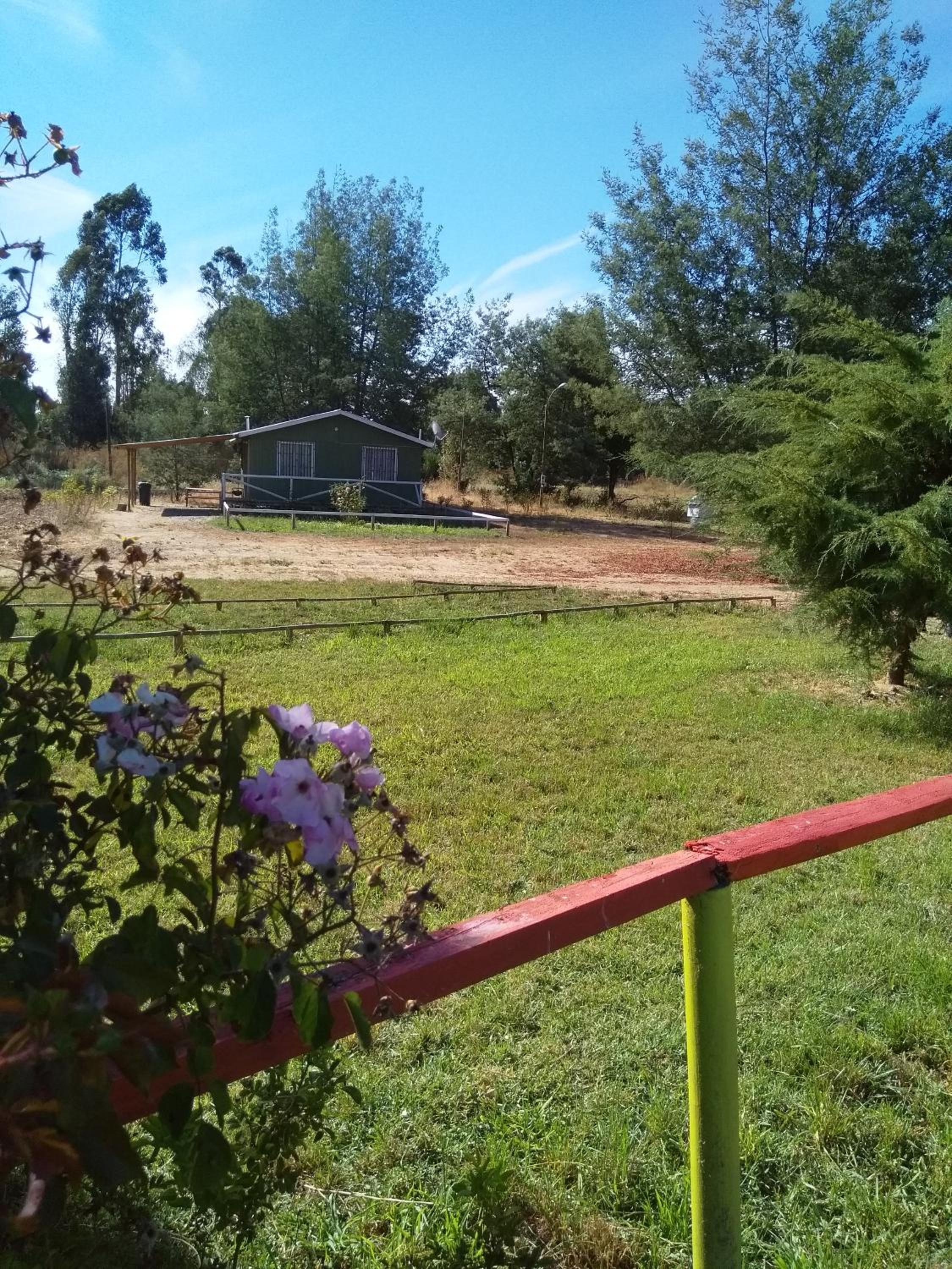 Photo 45