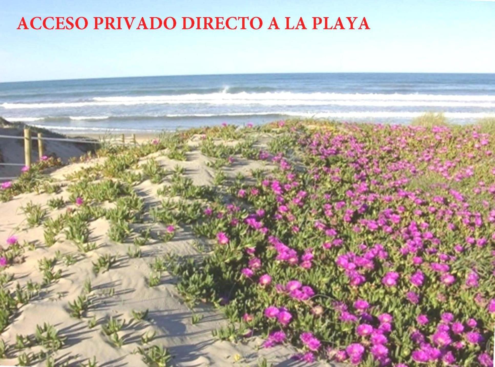 Photo 33