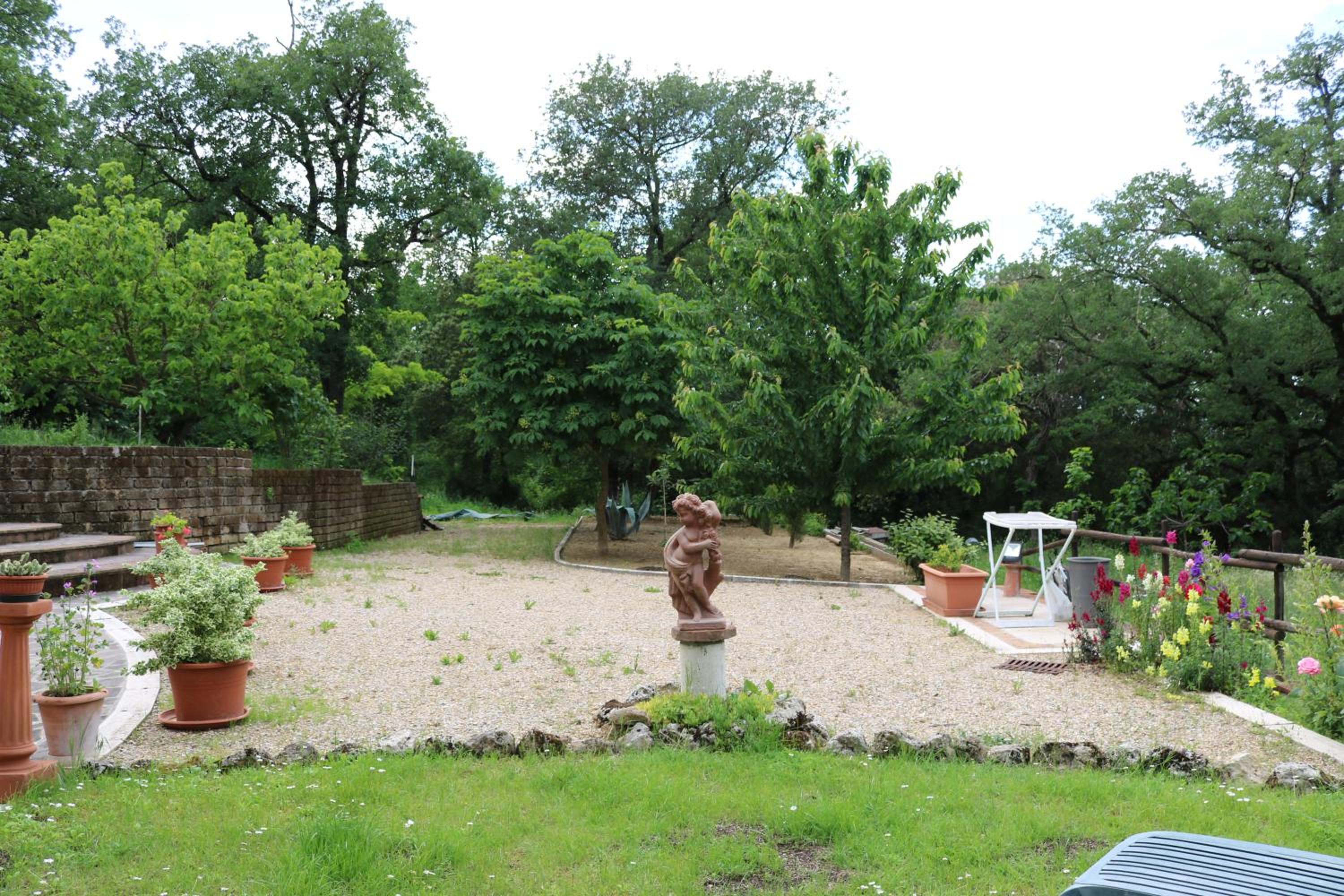 Boscodisotto photo 5