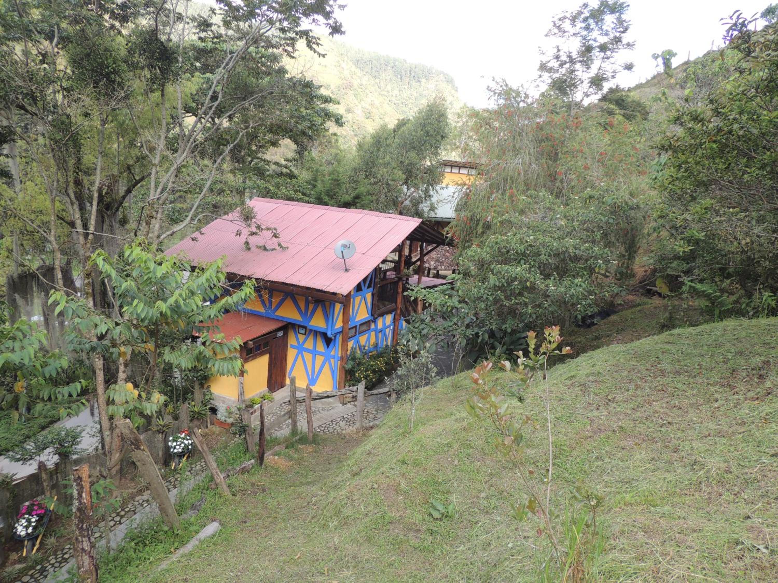 Photo 10