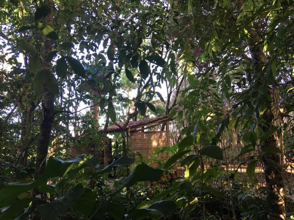 Casa nos Algodoes