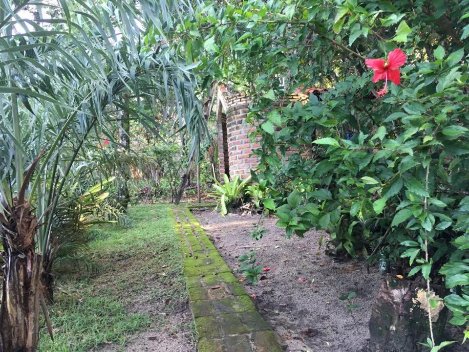 Casa nos Algodoes