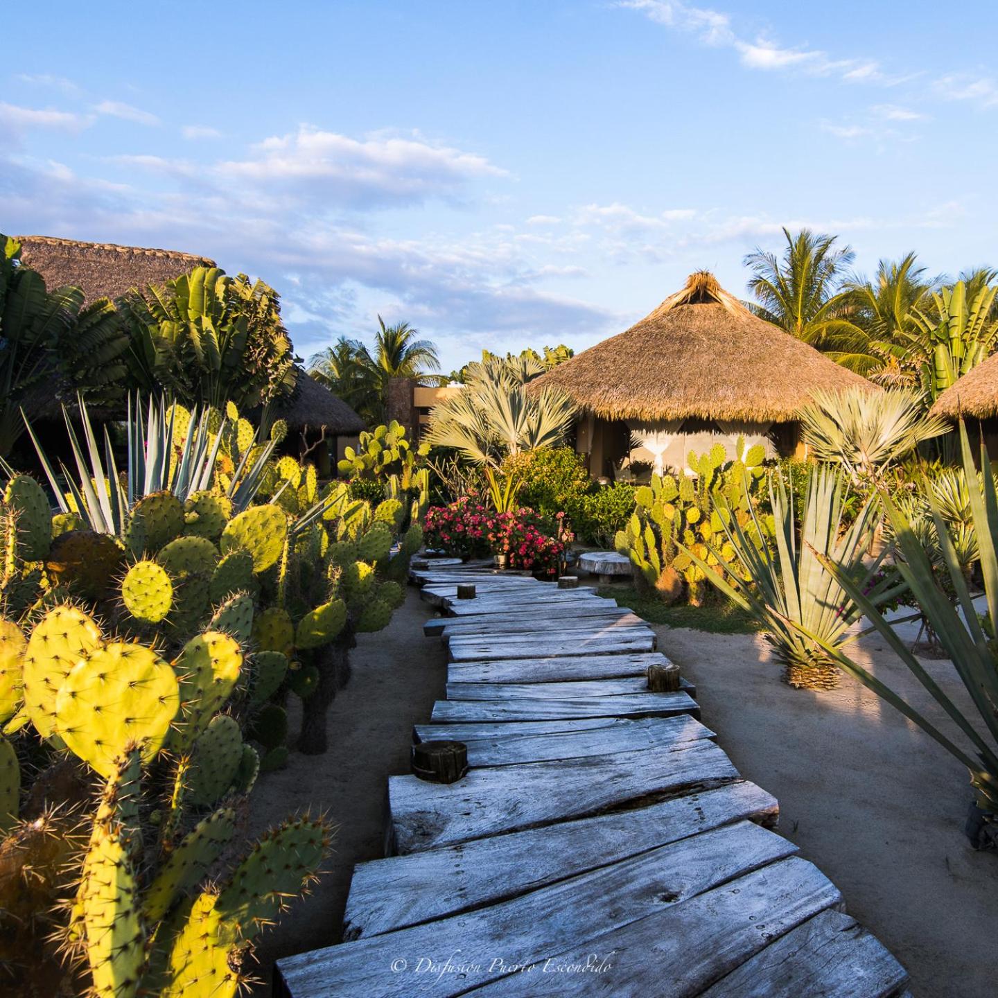 Samora Luxury Resort
