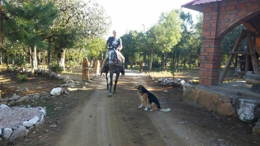 Photo 23