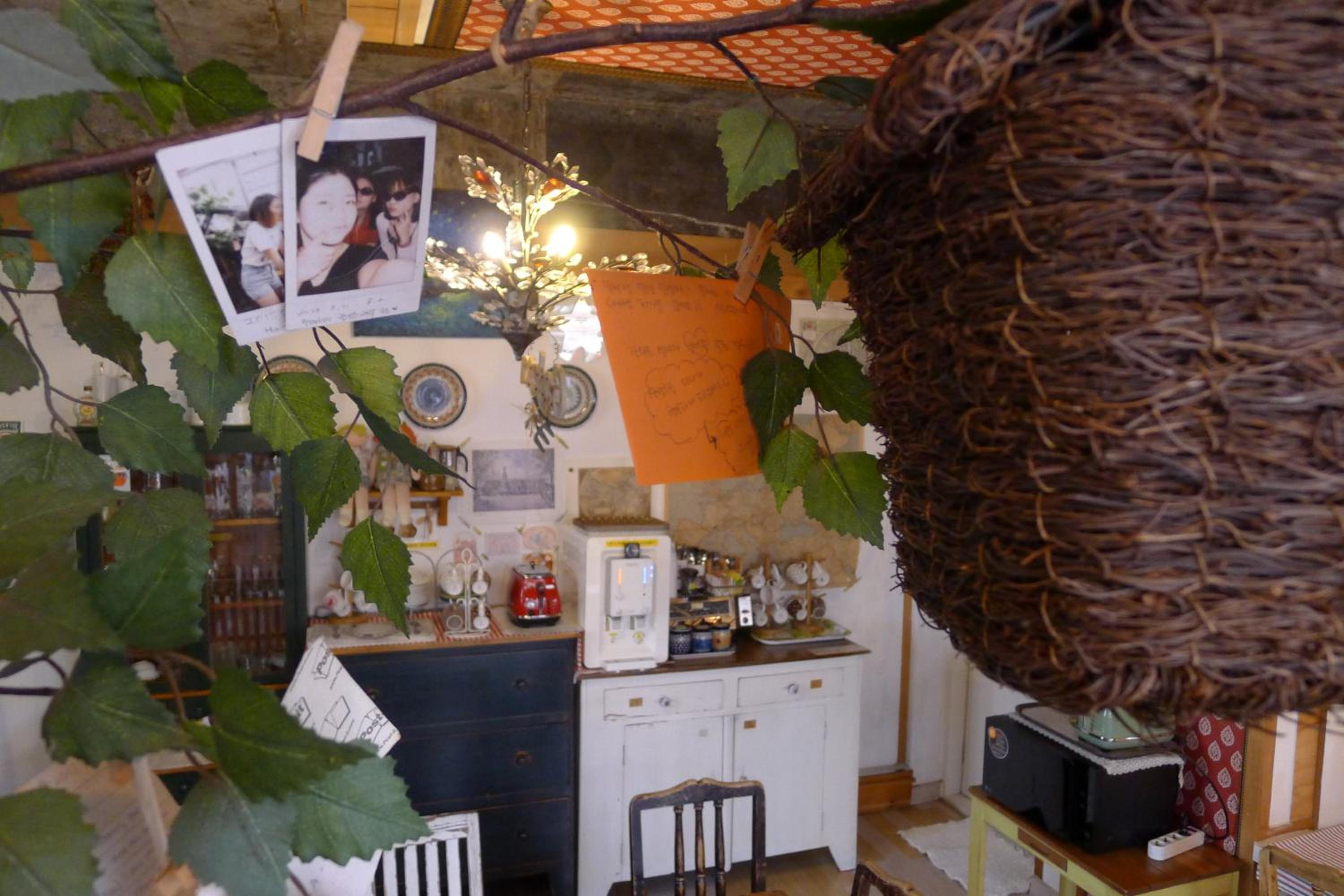 The House Hostel
