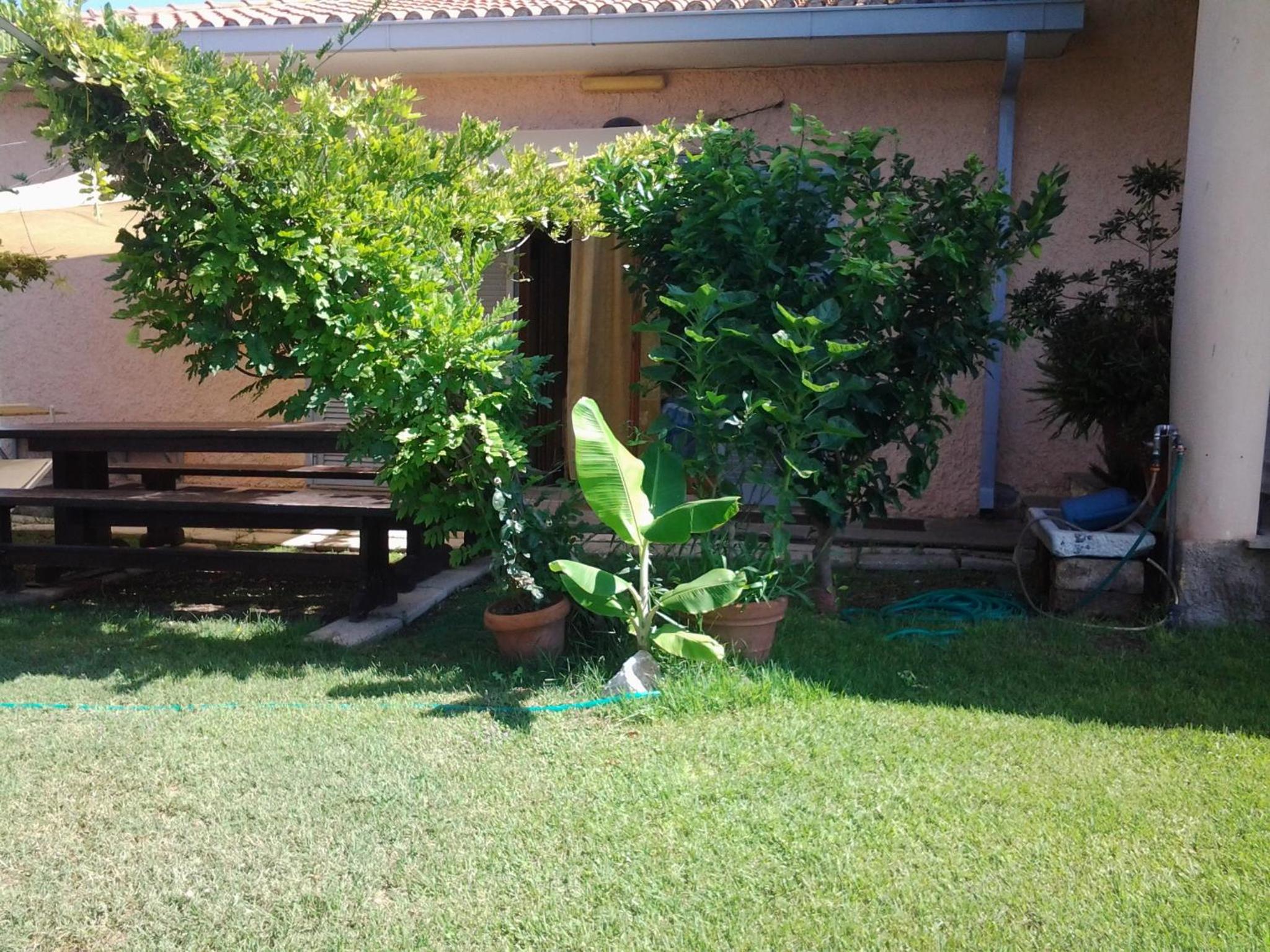 Photo 29