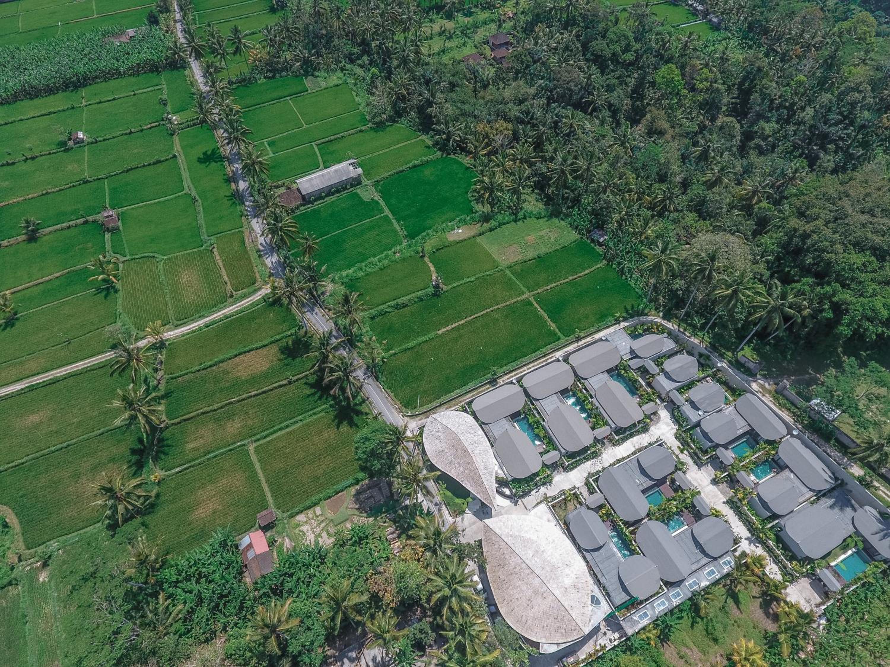 Daun Lebar Villas