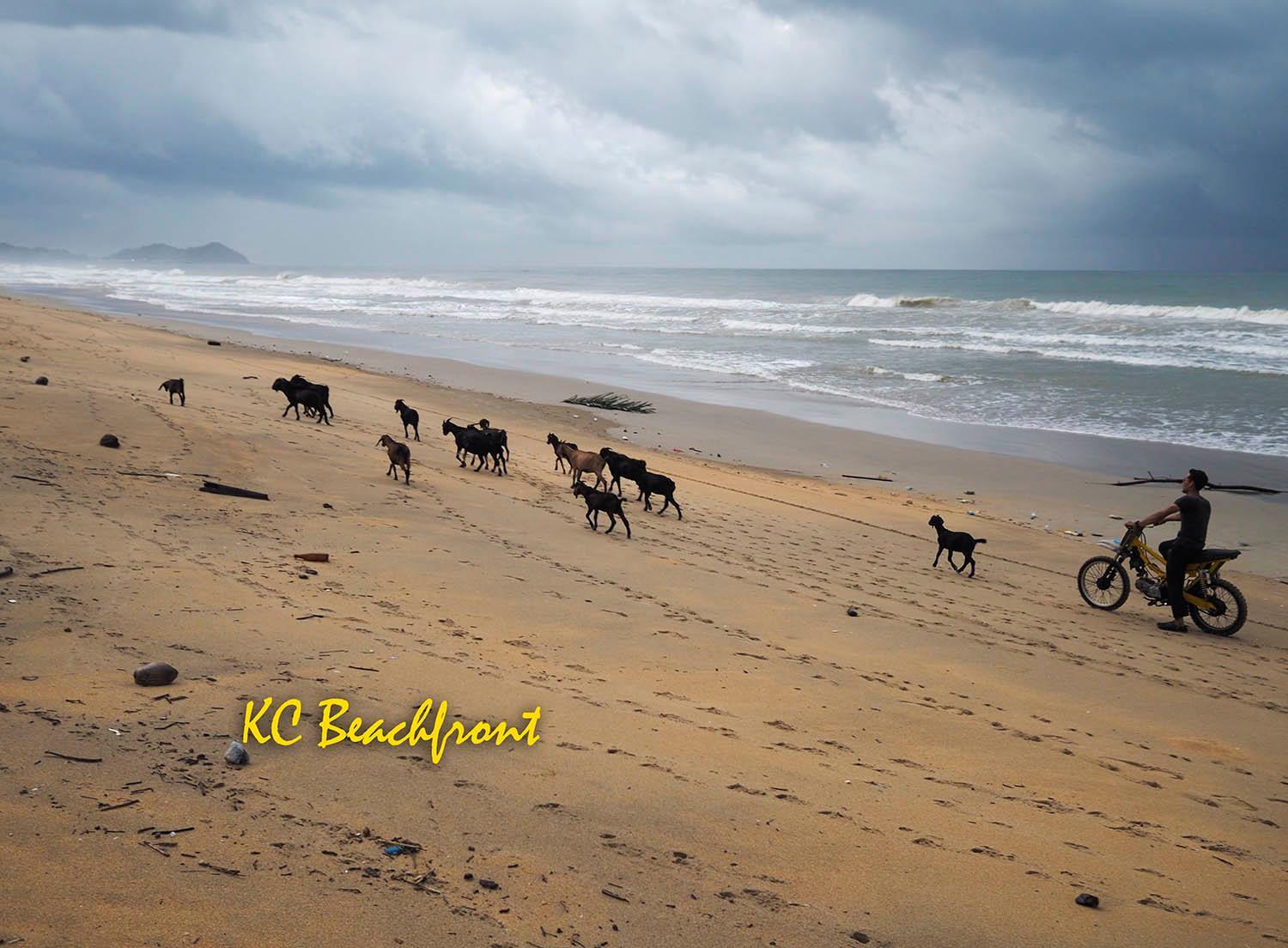 KC Beachfront view 3